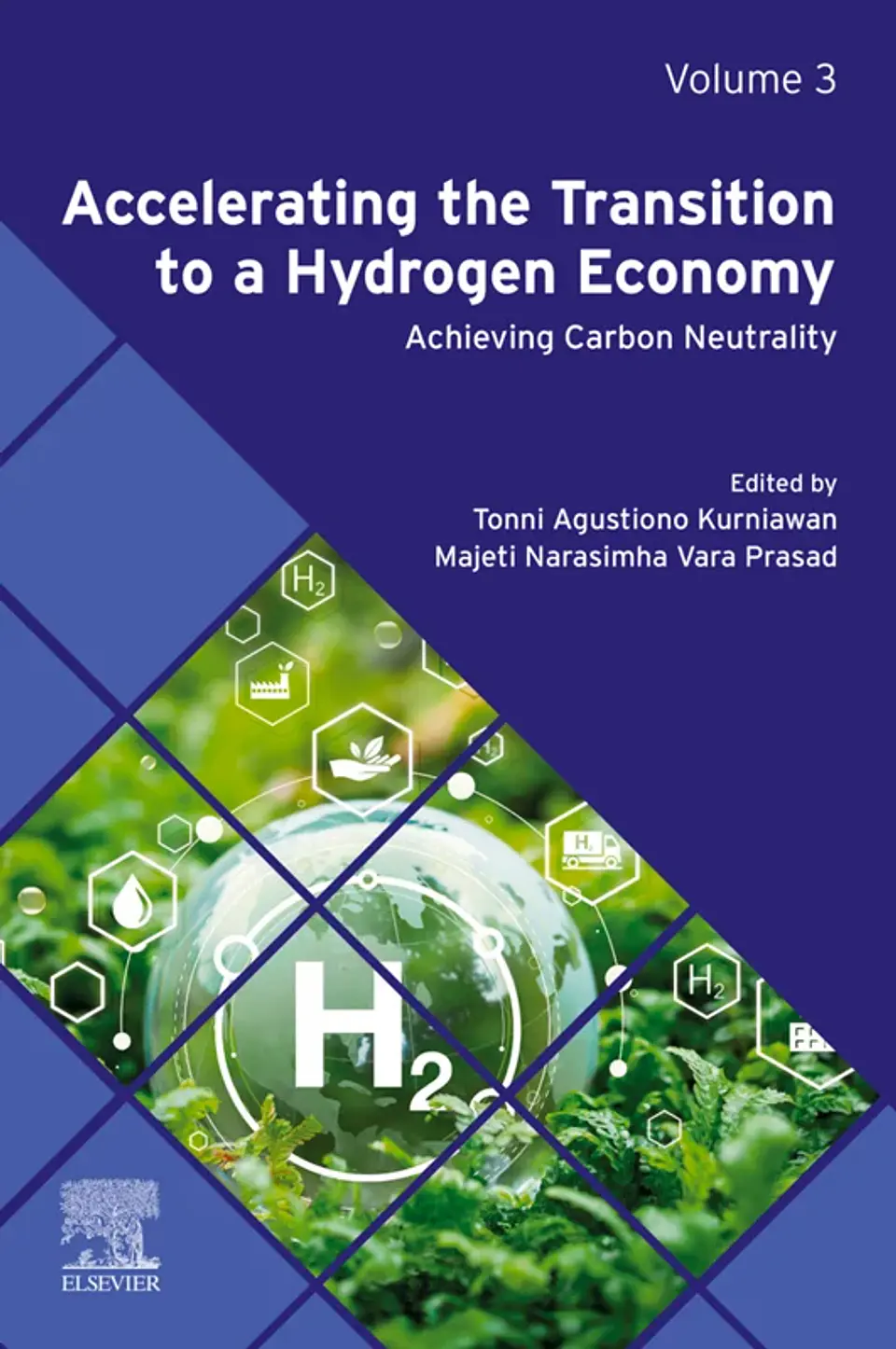 Accelerating the Transition to a Hydrogen Economy: Achieving Carbon Neutrality Volume 3 1