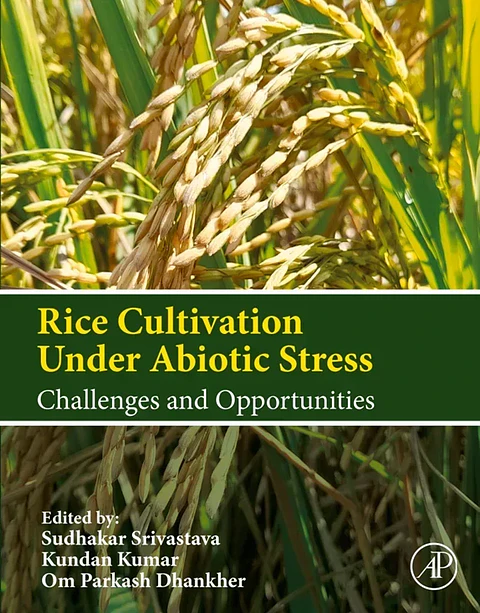 Rice Cultivation Under Abiotic Stress: Challenges and Opportunities