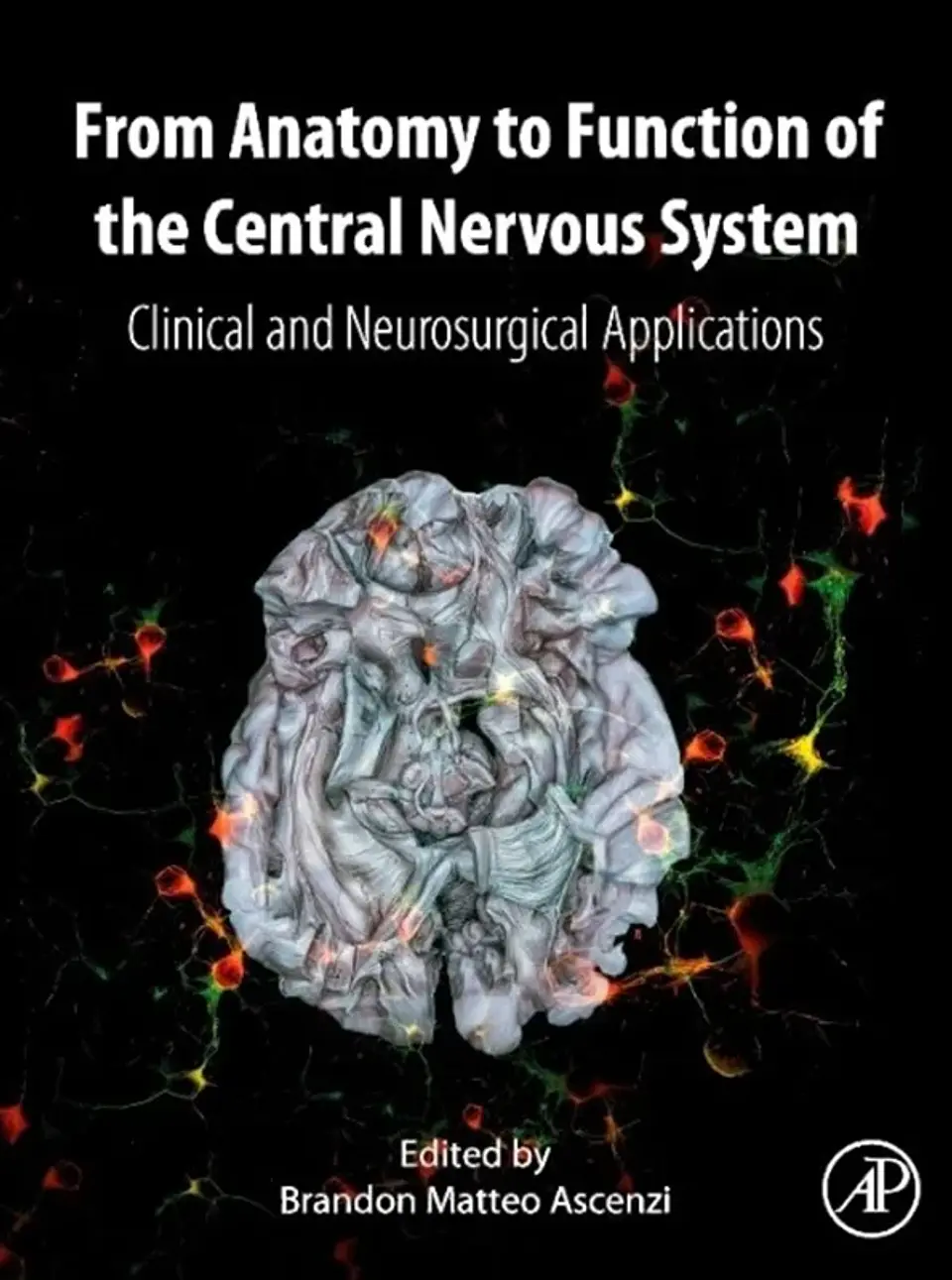 From Anatomy to Function of the Central Nervous System: Clinical and Neurosurgical Applications 1