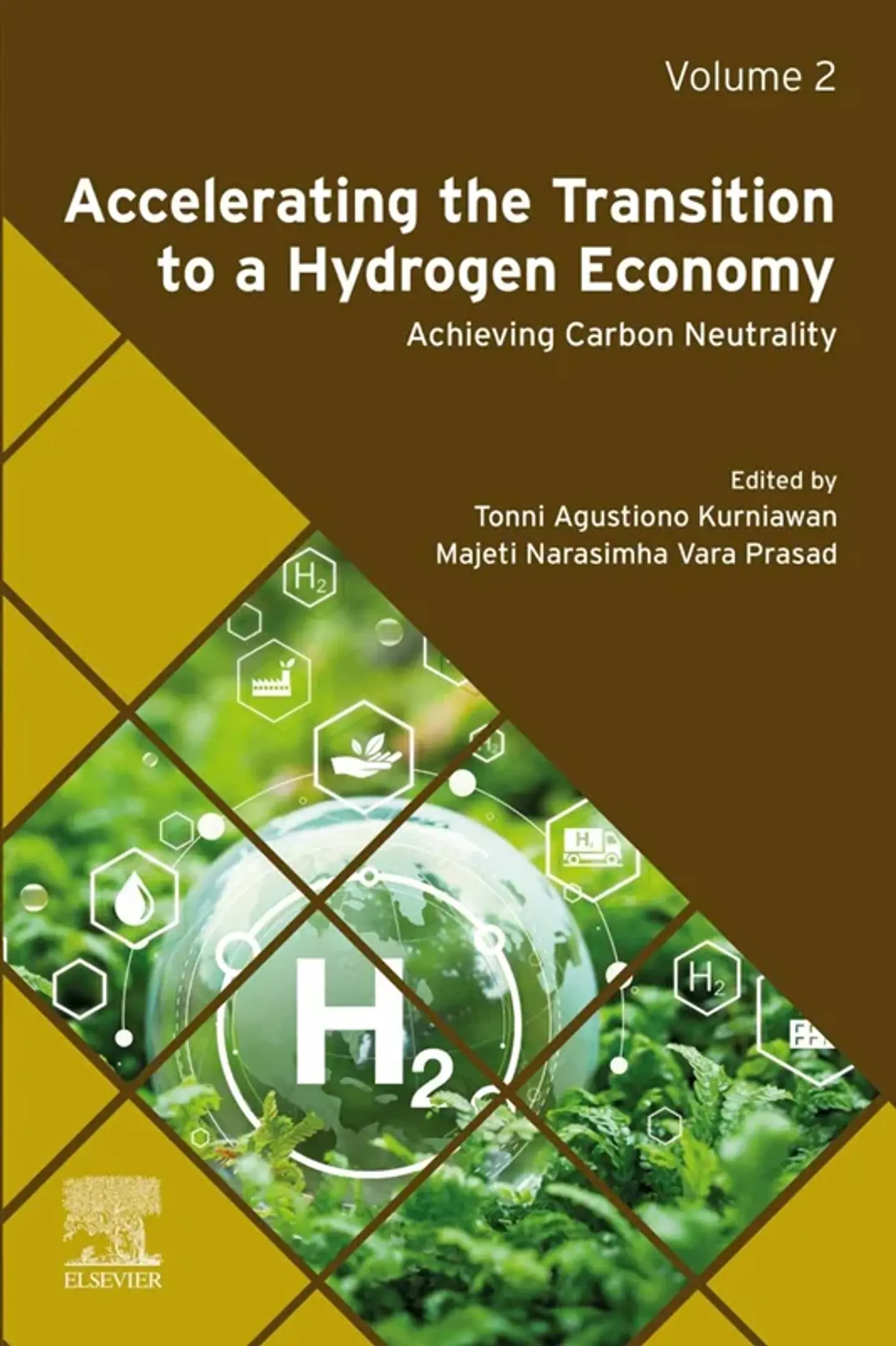Accelerating the Transition to a Hydrogen Economy: Achieving Carbon Neutrality Volume 2 1