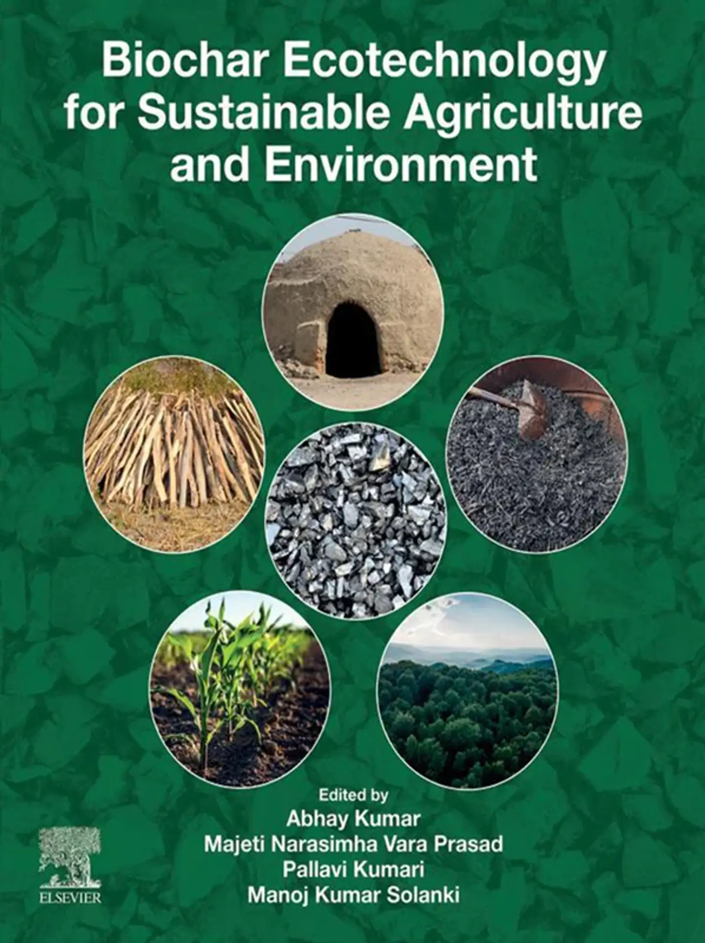 Biochar Ecotechnology for Sustainable Agriculture and Environment 1