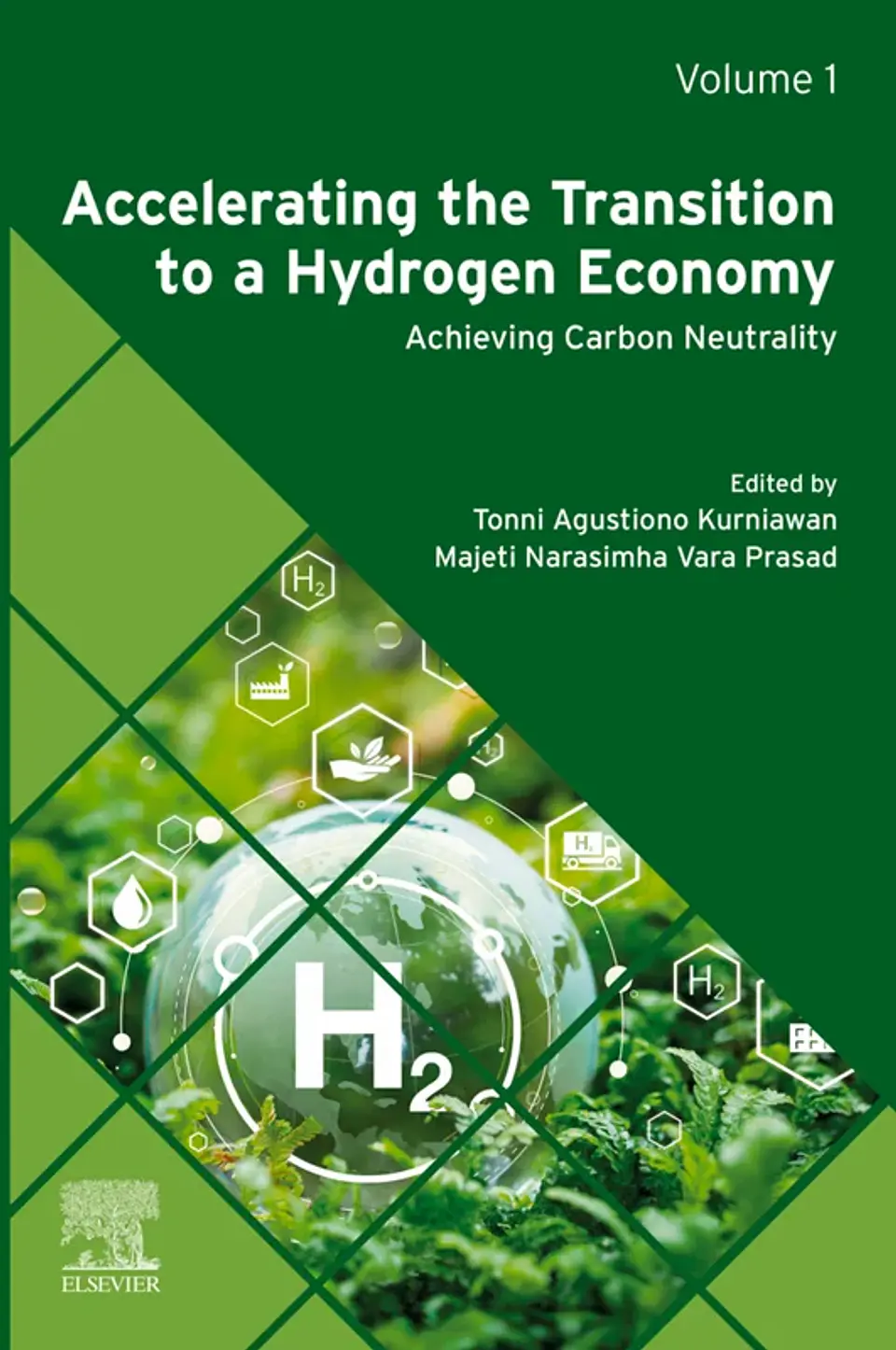 Accelerating the Transition to a Hydrogen Economy: Achieving Carbon Neutrality Volume 1 1