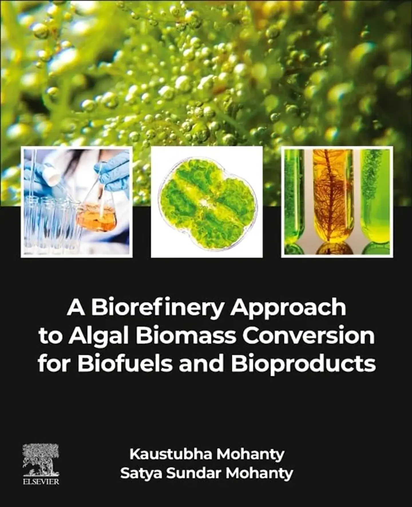 A Biorefinery Approach to Algal Biomass Conversion for Biofuels and Bioproducts 1