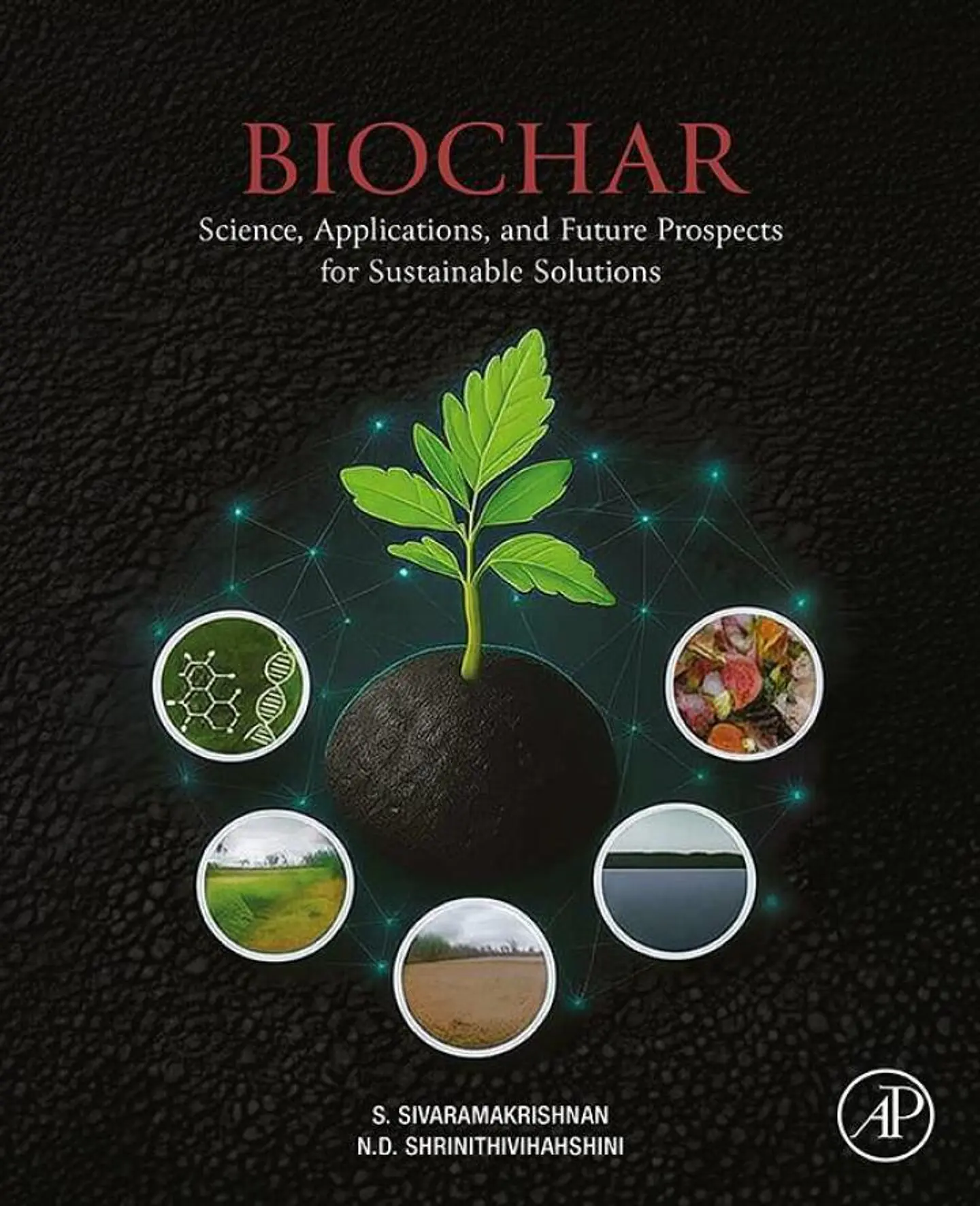 Biochar: Science, Applications, and Future Prospects for Sustainable Solutions 1