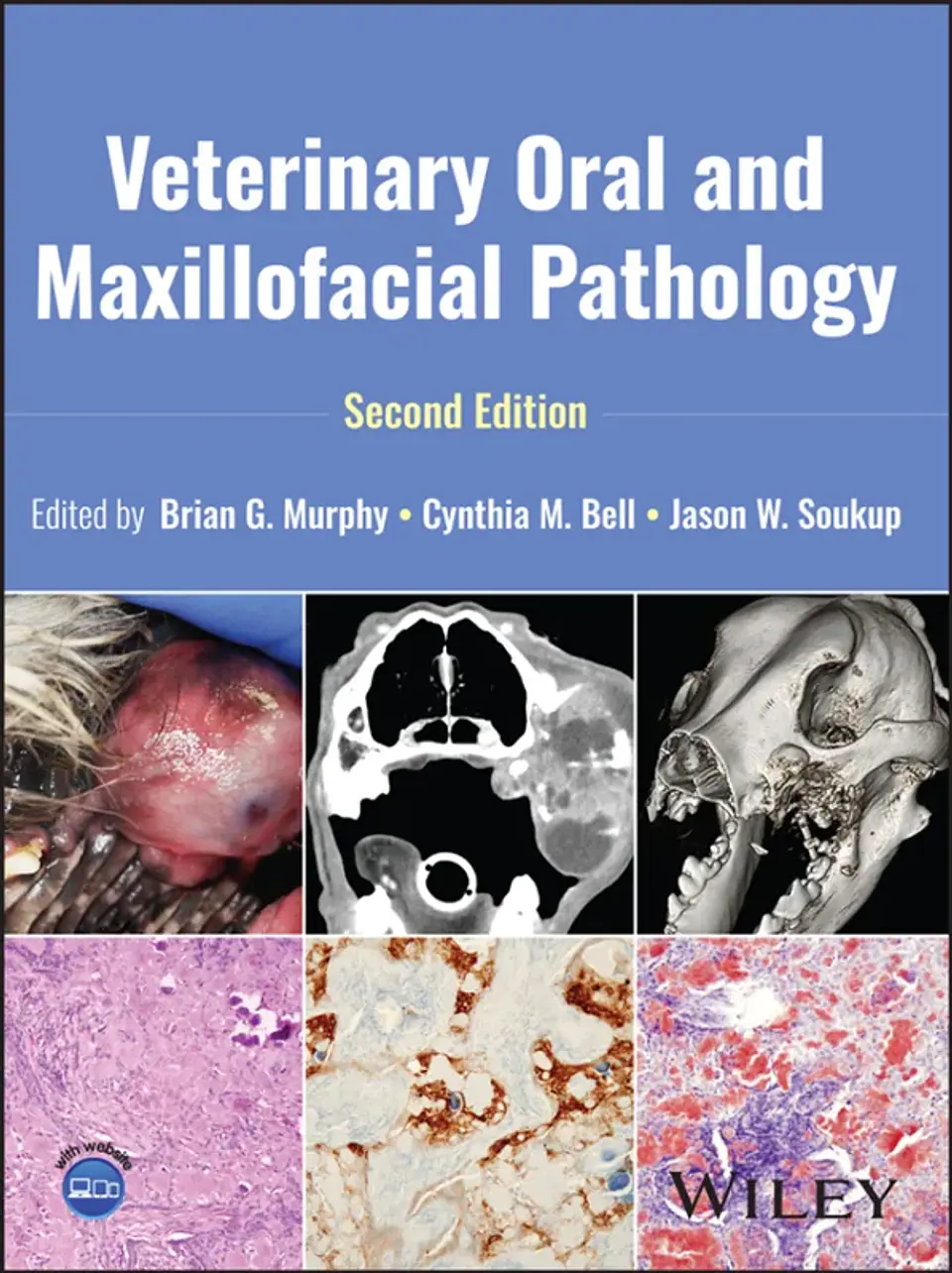 Veterinary Oral and Maxillofacial Pathology 2nd Edition 1