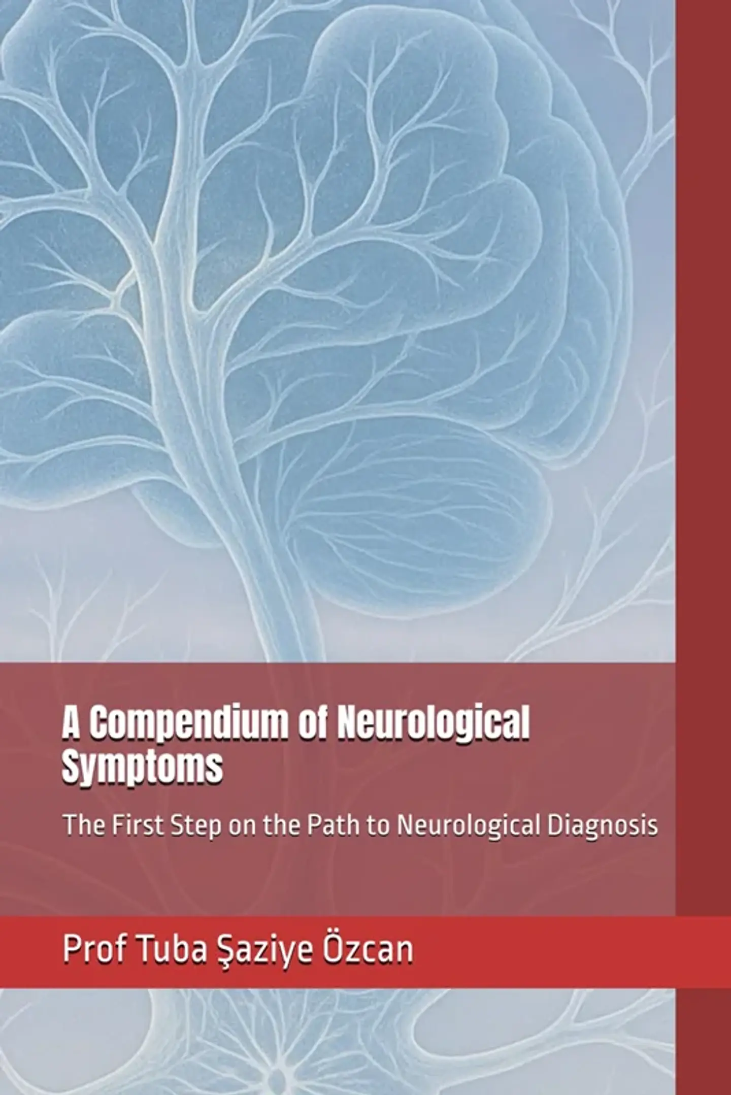 A Compendium of Neurological Symptoms: The First Step on the Path to Neurological Diagnosis 1
