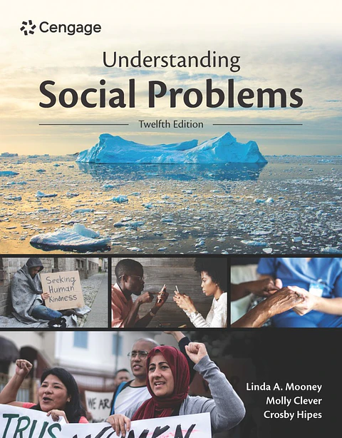 Understanding Social Problems 12th Edition