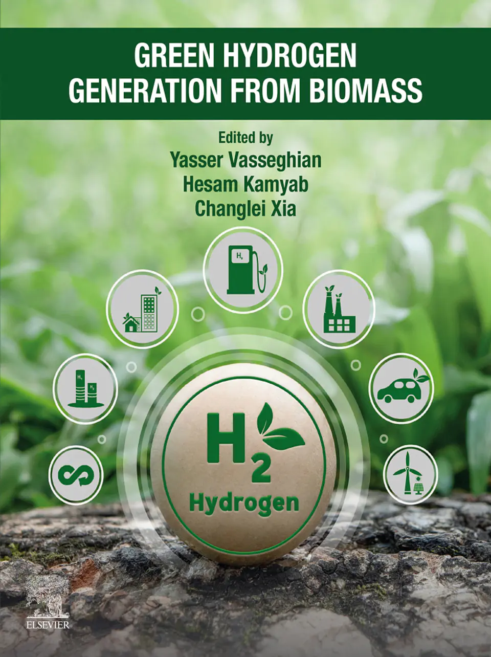 Green Hydrogen Generation from Biomass 1