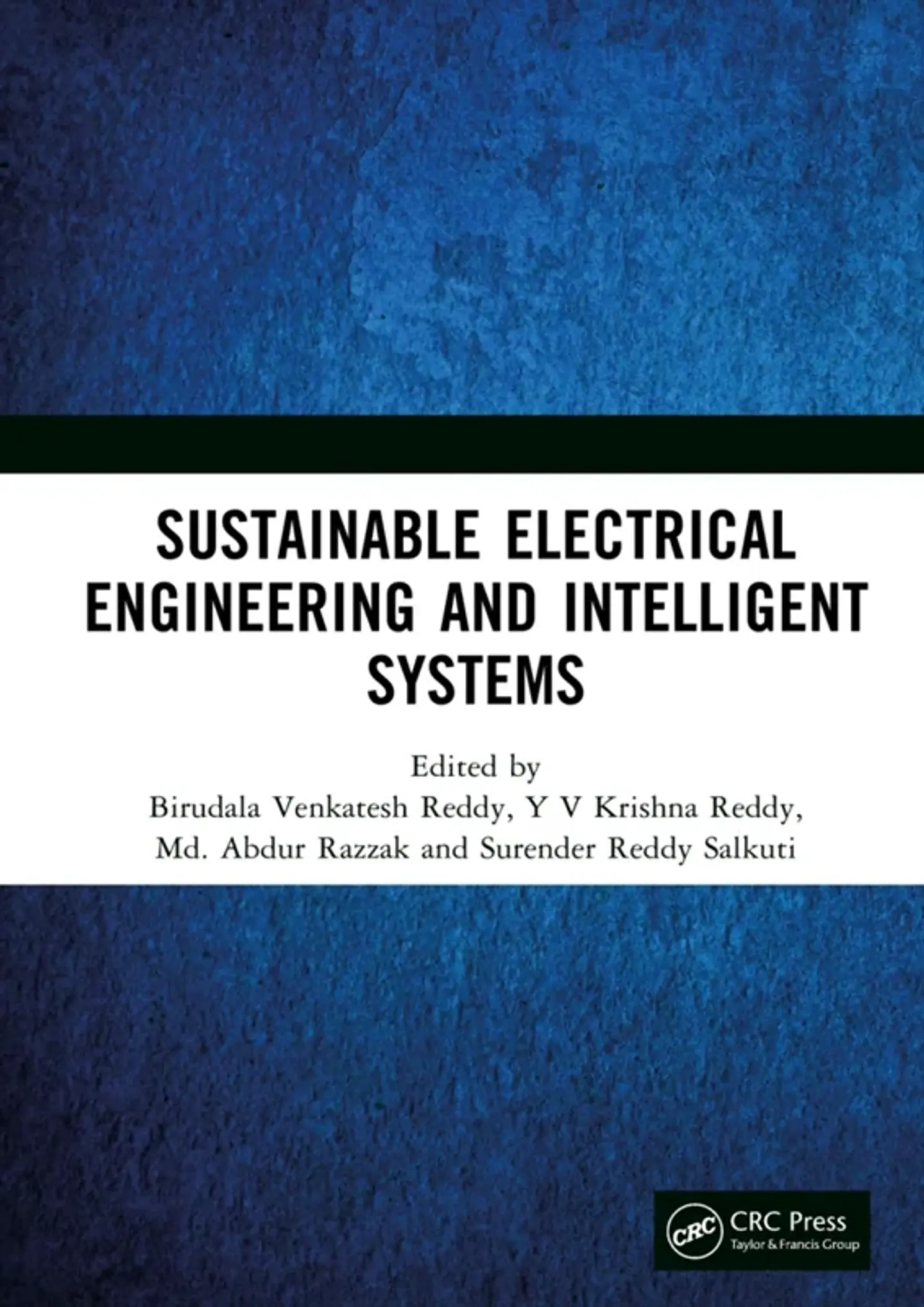 Sustainable Electrical Engineering and Intelligent Systems 1