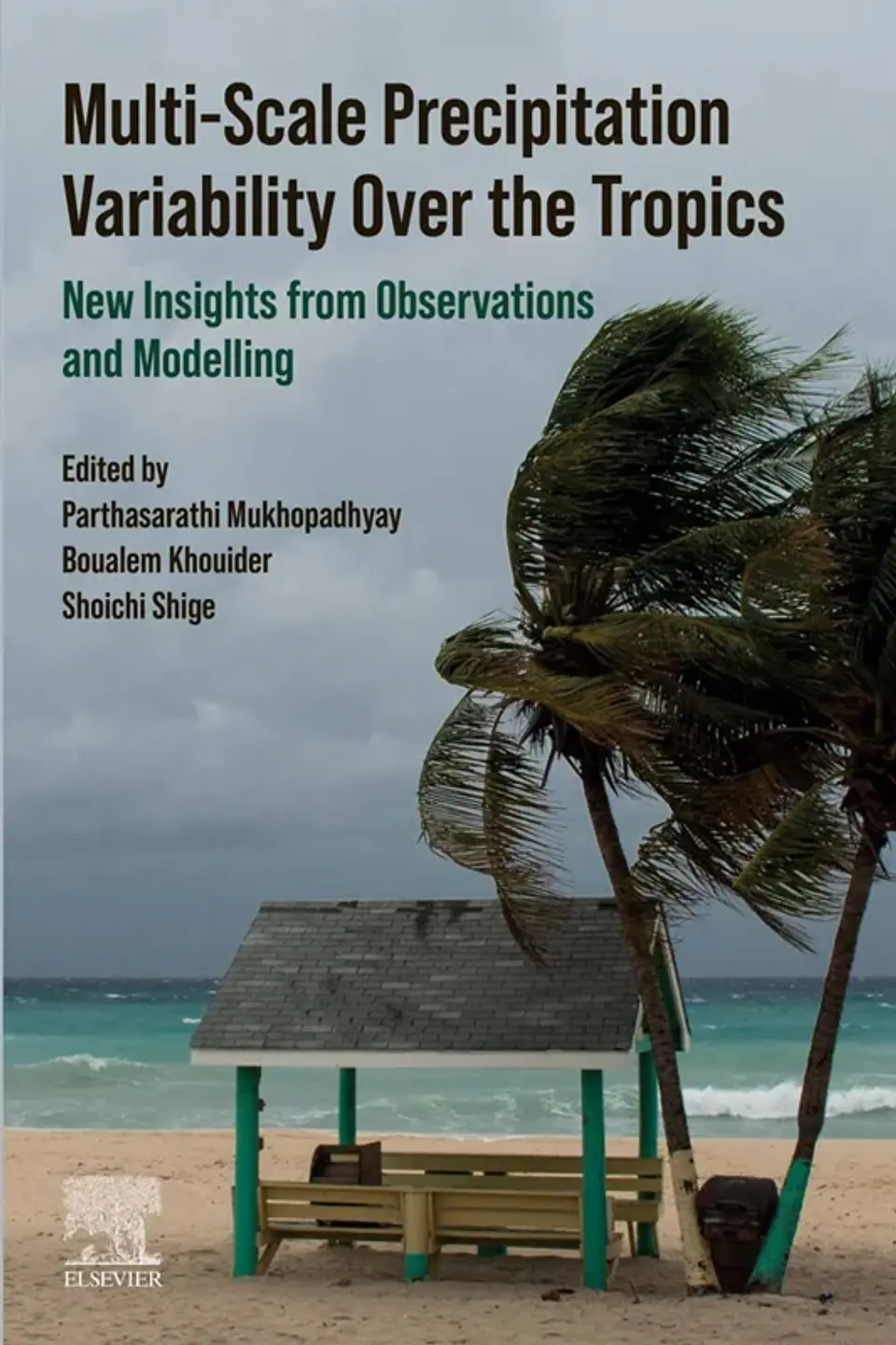 Multi-Scale Precipitation Variability Over the Tropics: New Insights from Observations and Modelling 1