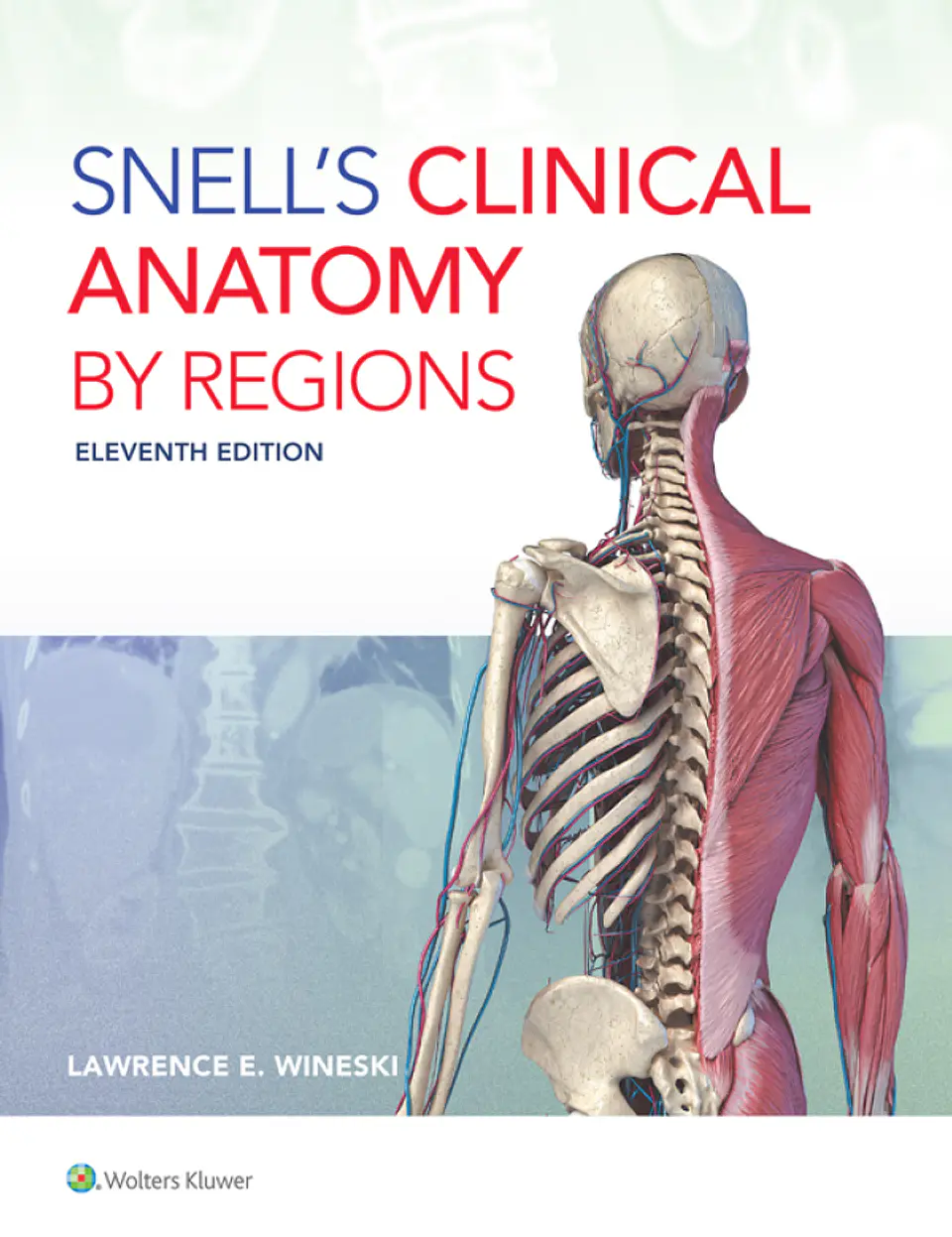 Snell's Clinical Anatomy by Regions 11th Edition 1