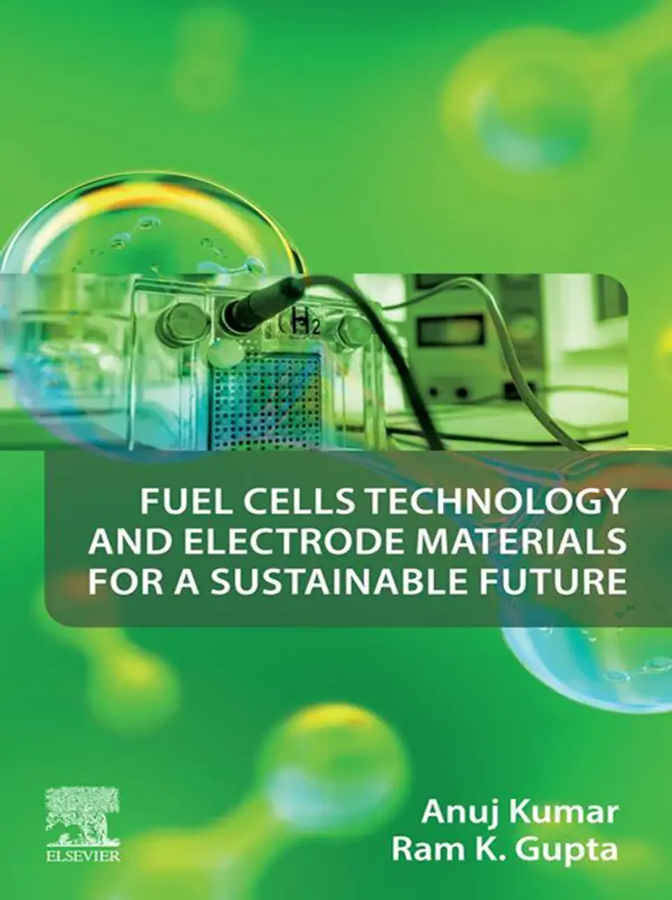 Fuel Cells Technology and Electrode Materials for a Sustainable Future 1