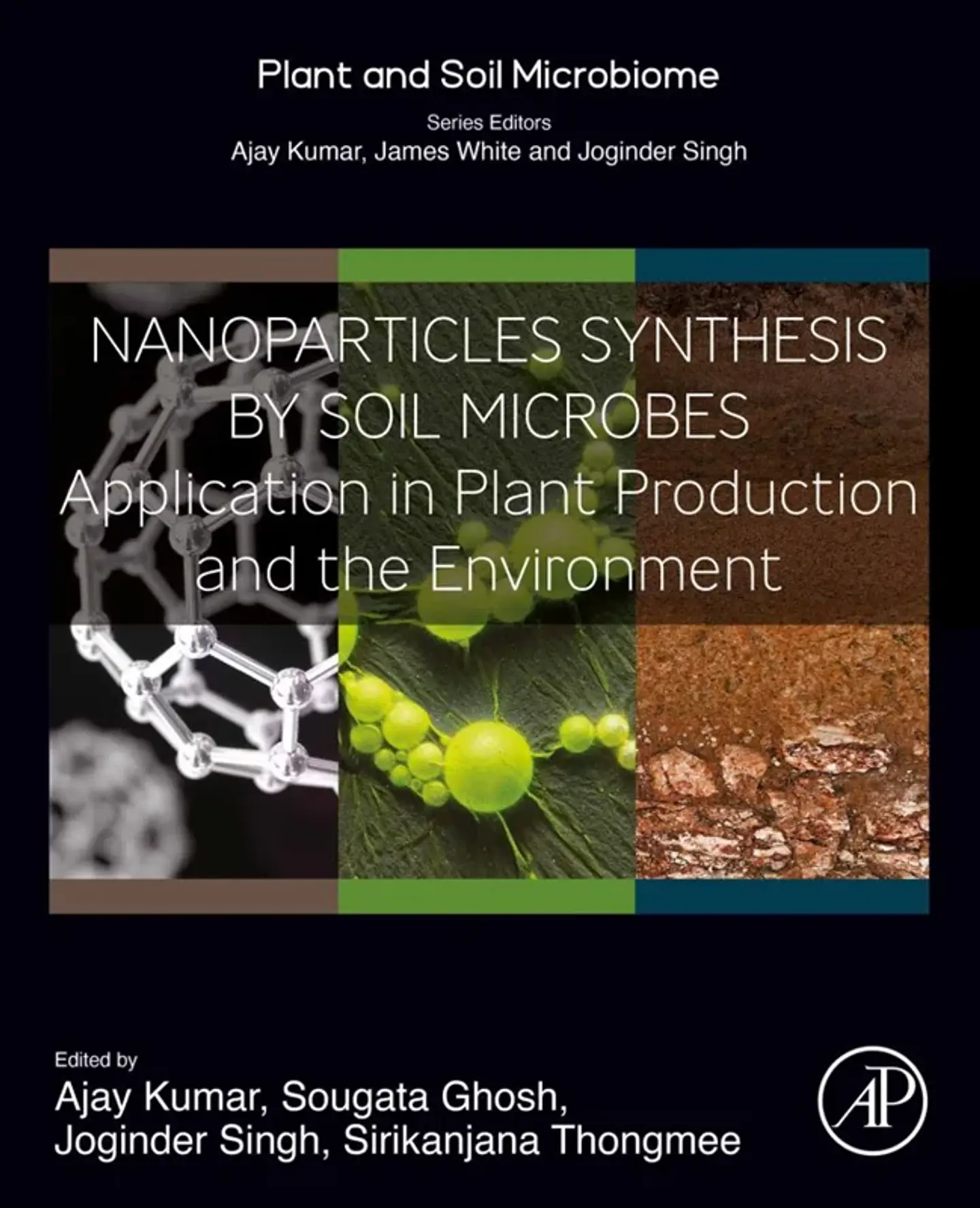 Nanoparticles Synthesis by Soil Microbes: Application in Plant Production and the Environment (Plant and Soil Microbiome) 1