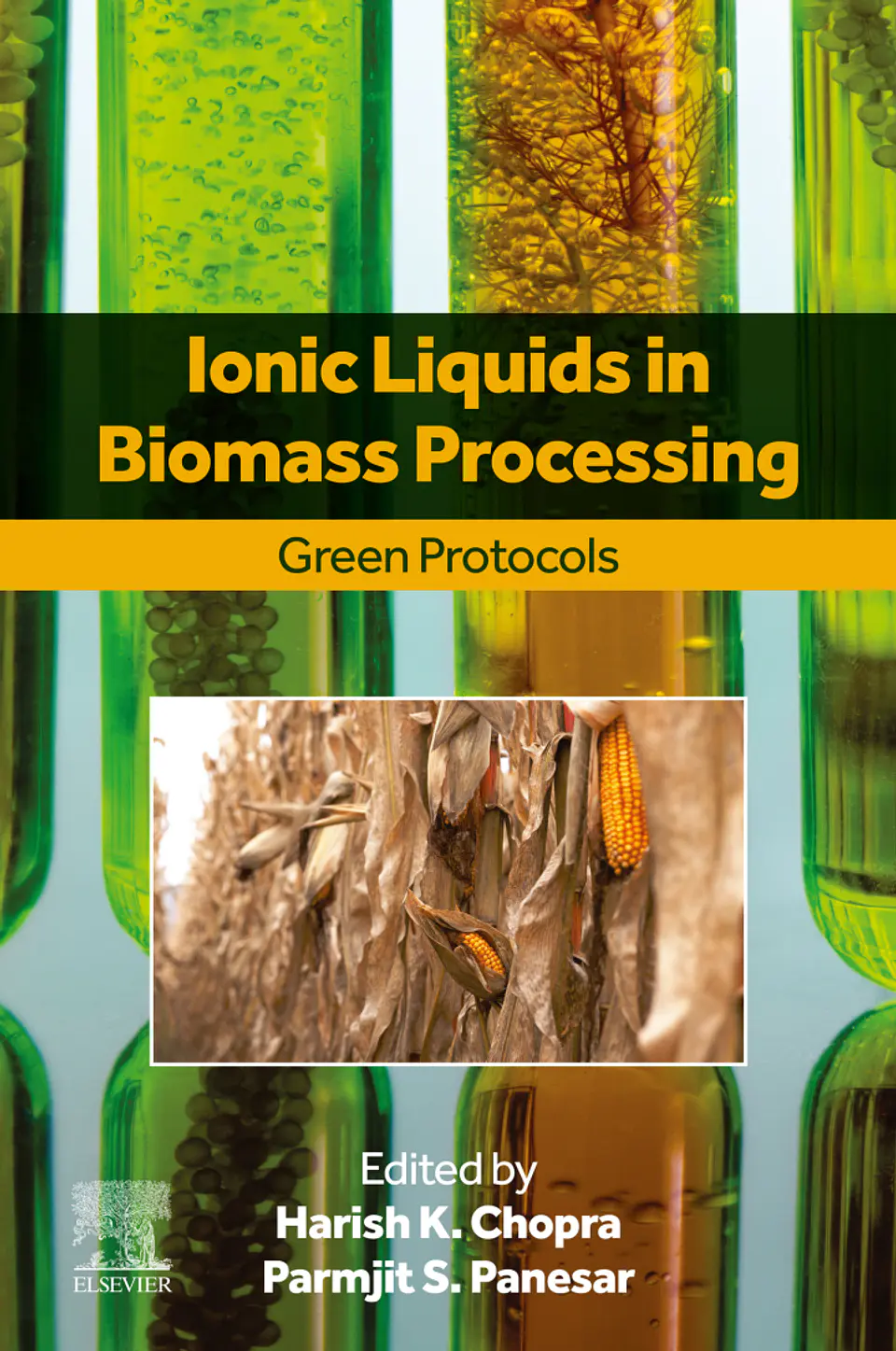 Ionic Liquids in Biomass Processing: Green Protocols 1