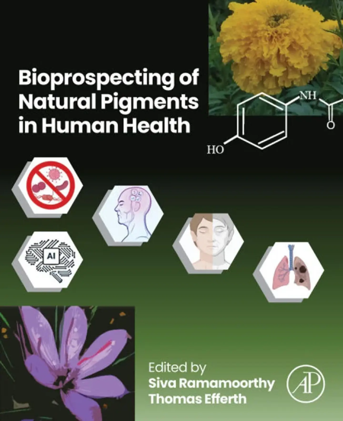 Bioprospecting of Natural Pigments in Human Health 1