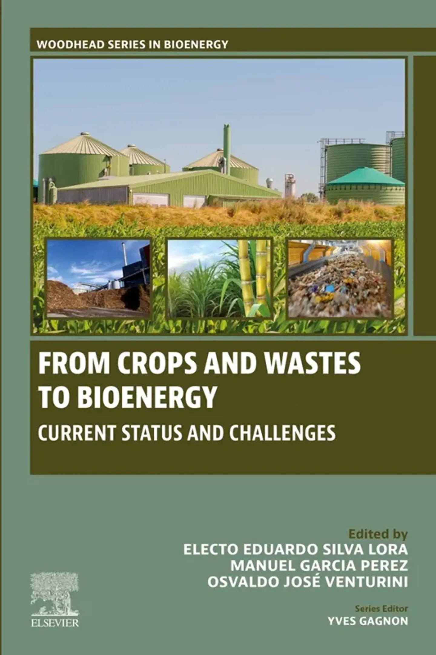 From Crops and Wastes to Bioenergy: Current Status and Challenges 1