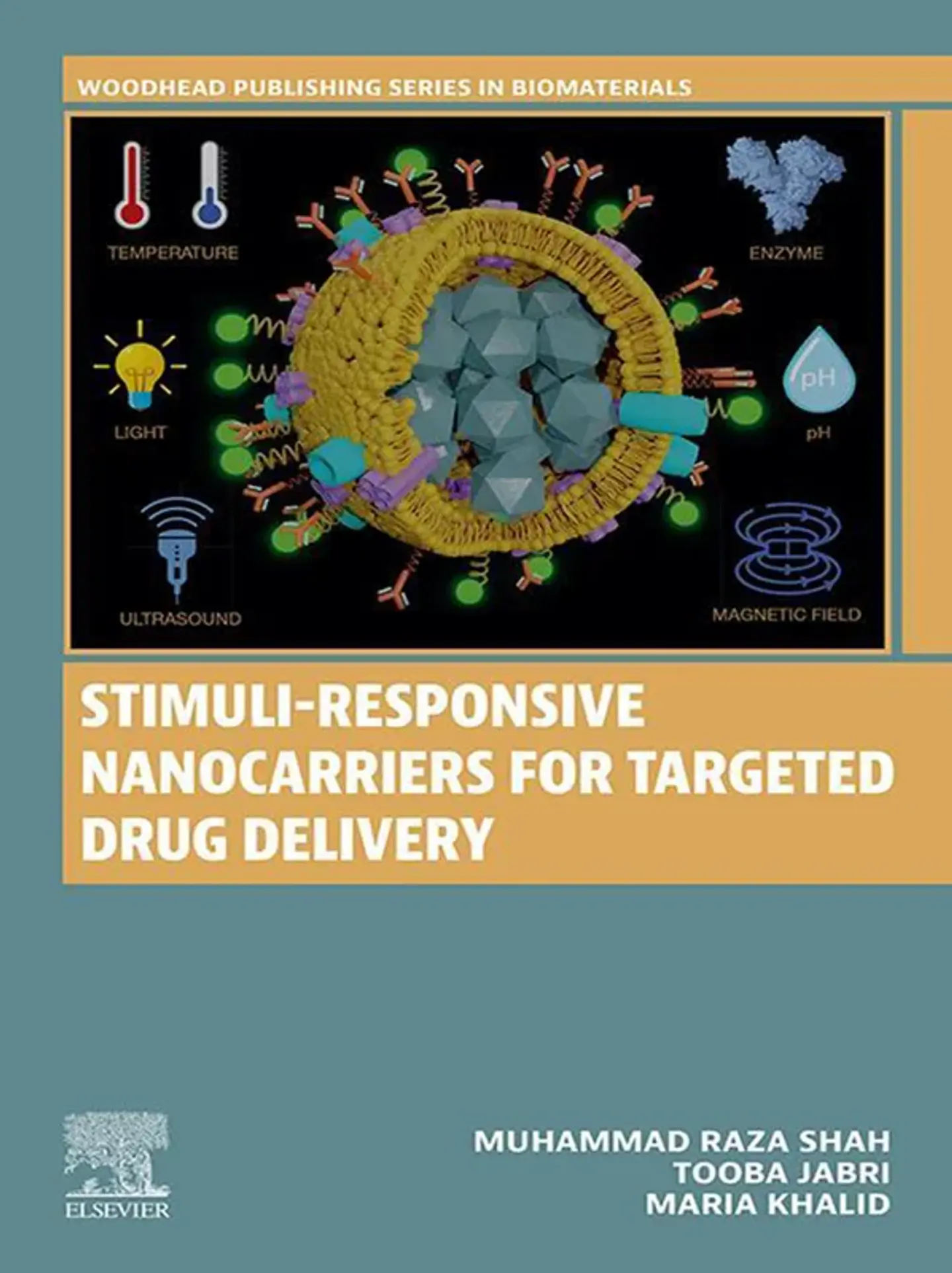 Stimuli-Responsive Nanocarriers for Targeted Drug Delivery 1