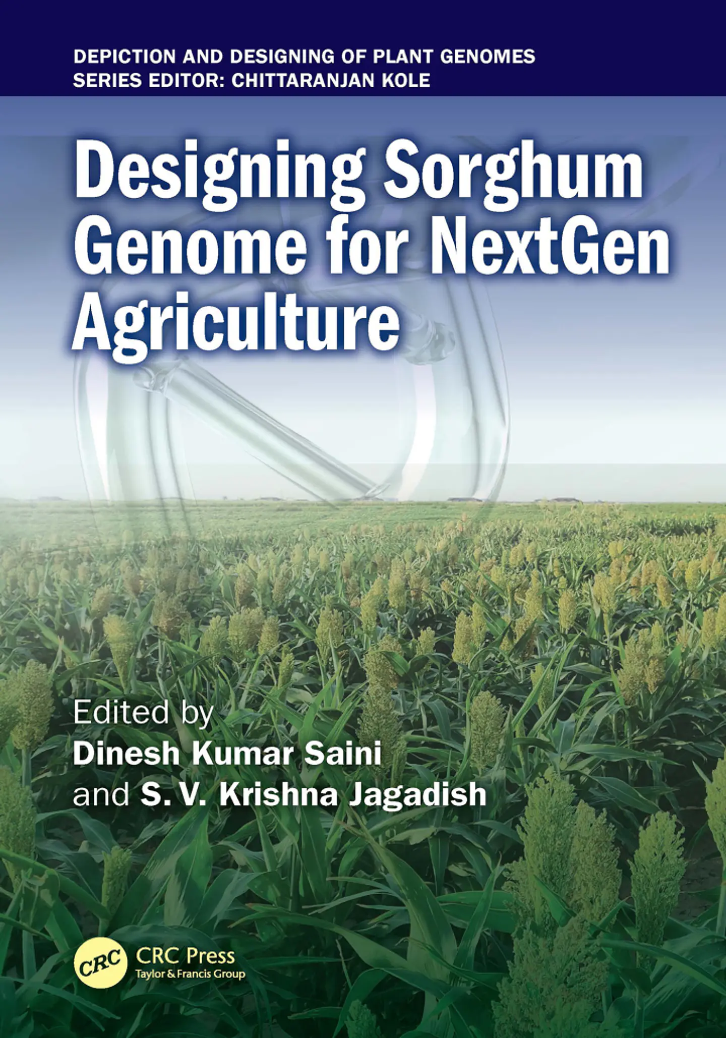  Designing Sorghum Genome for NextGen Agriculture  1