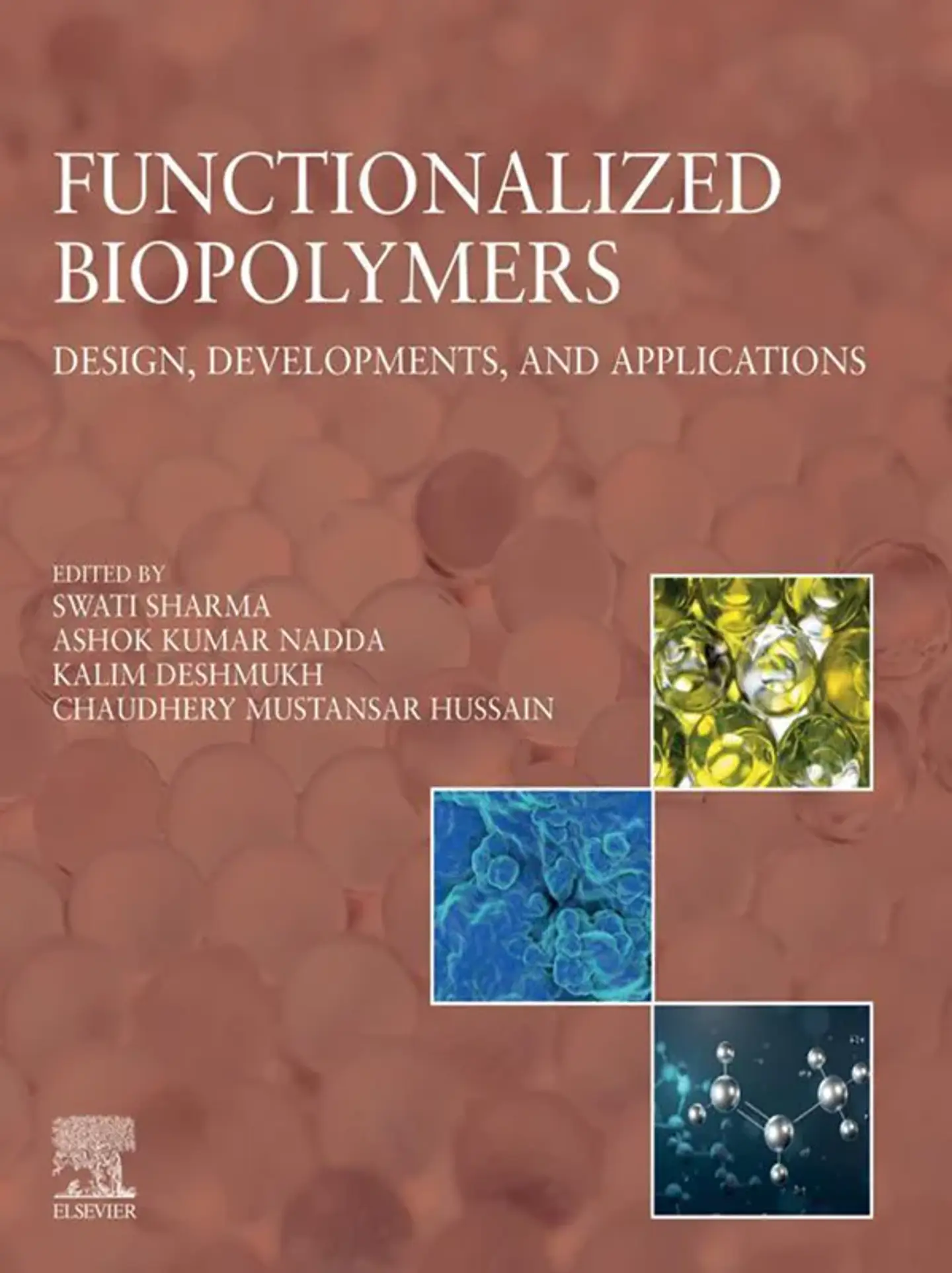Functionalized Biopolymers: Design, Developments, and Applications 1