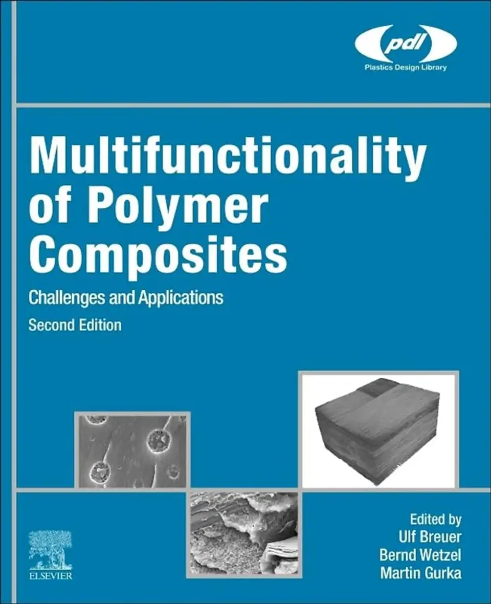 Multifunctionality of Polymer Composites: Challenges and Applications 1