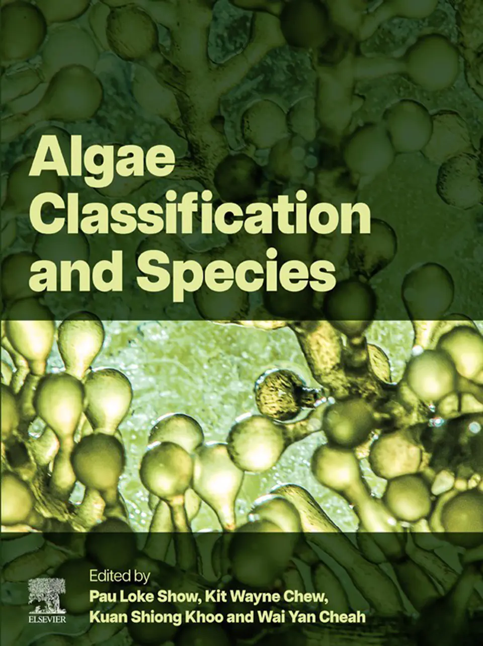 Algae Classification and Species 1