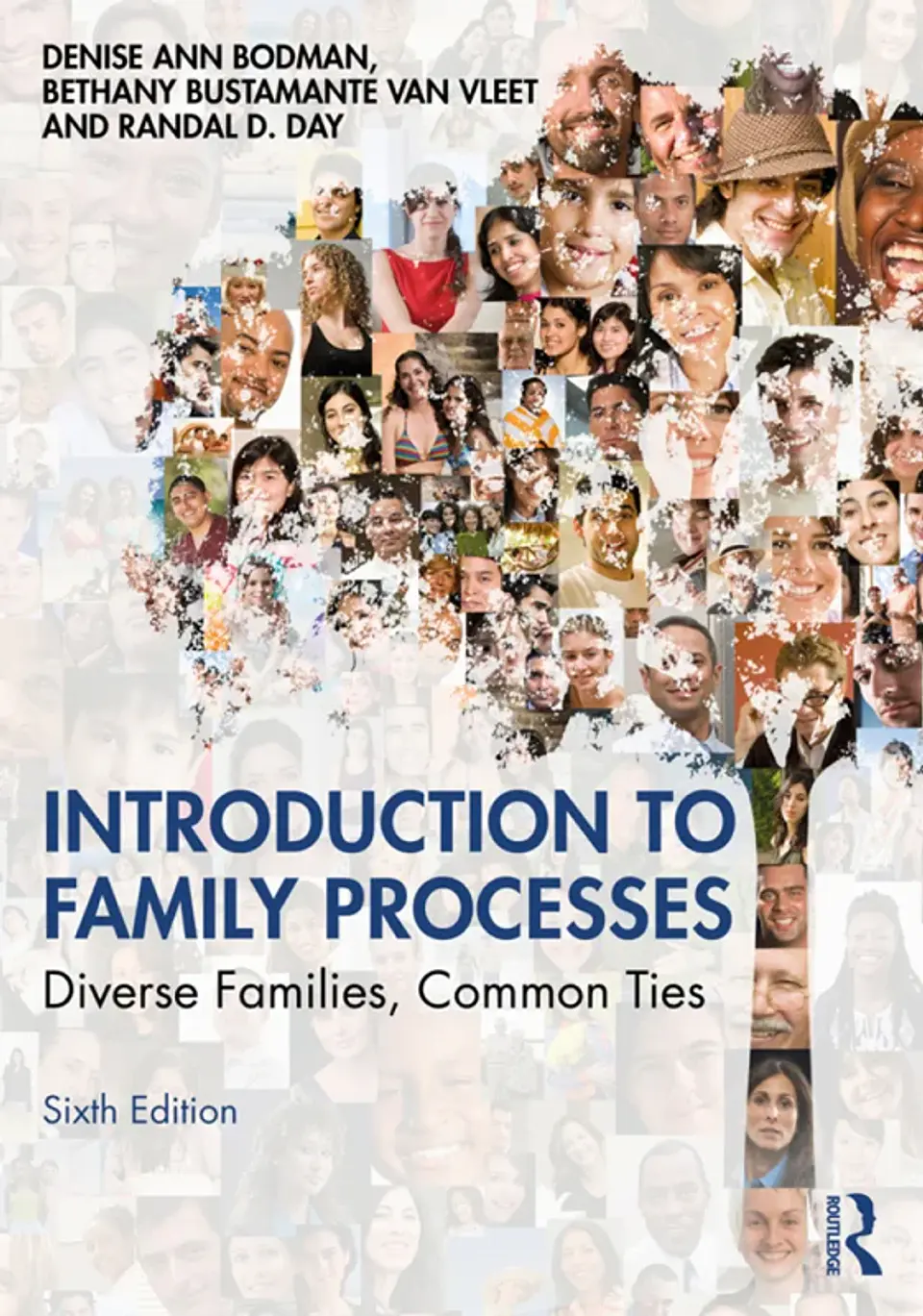 Introduction to Family Processes: Diverse Families, Common Ties 6th Edition 1