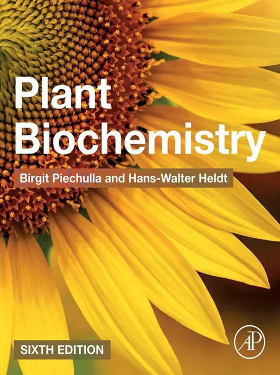 Plant Biochemistry 6th Edition 1