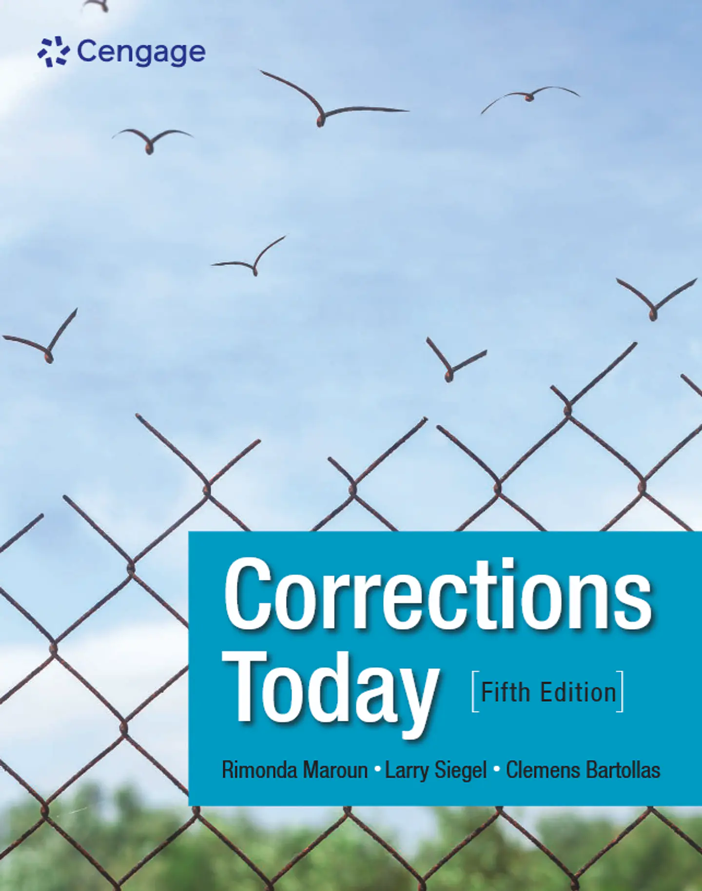 Corrections Today 5th Edition 1