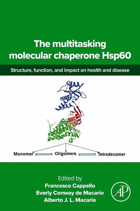 The multitasking molecular chaperone Hsp60: Structure, function, and impact on health and disease