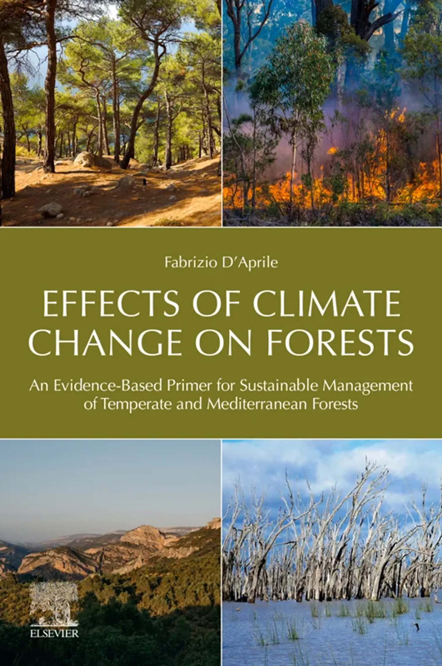 Effects of Climate Change on Forests: An Evidence-Based Primer for Sustainable Management of Temperate and Mediterranean Forests 1