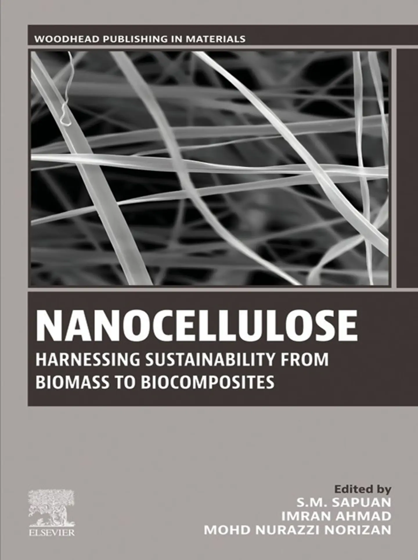 Nanocellulose: Harnessing Sustainability from Biomass to Biocomposites 1