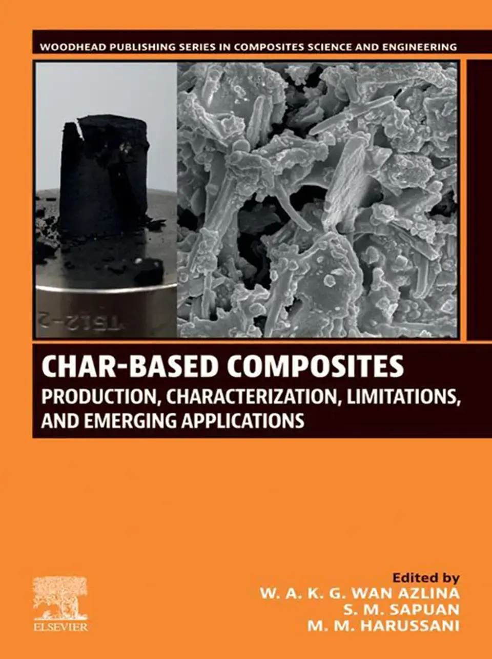Char-based Composites: Production, Characterization, Limitations, and Emerging Applications 1