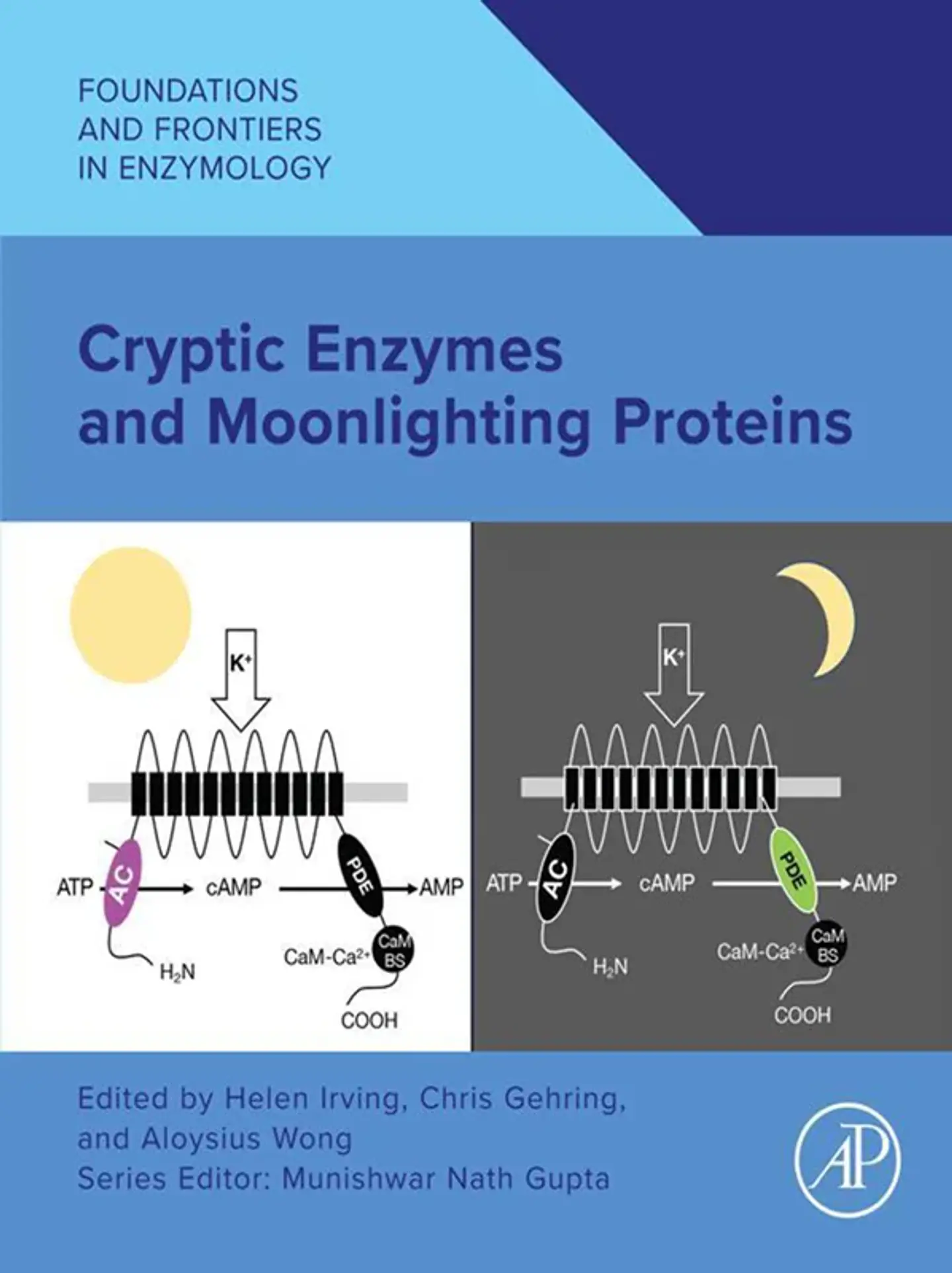 Cryptic Enzymes and Moonlighting Proteins 1