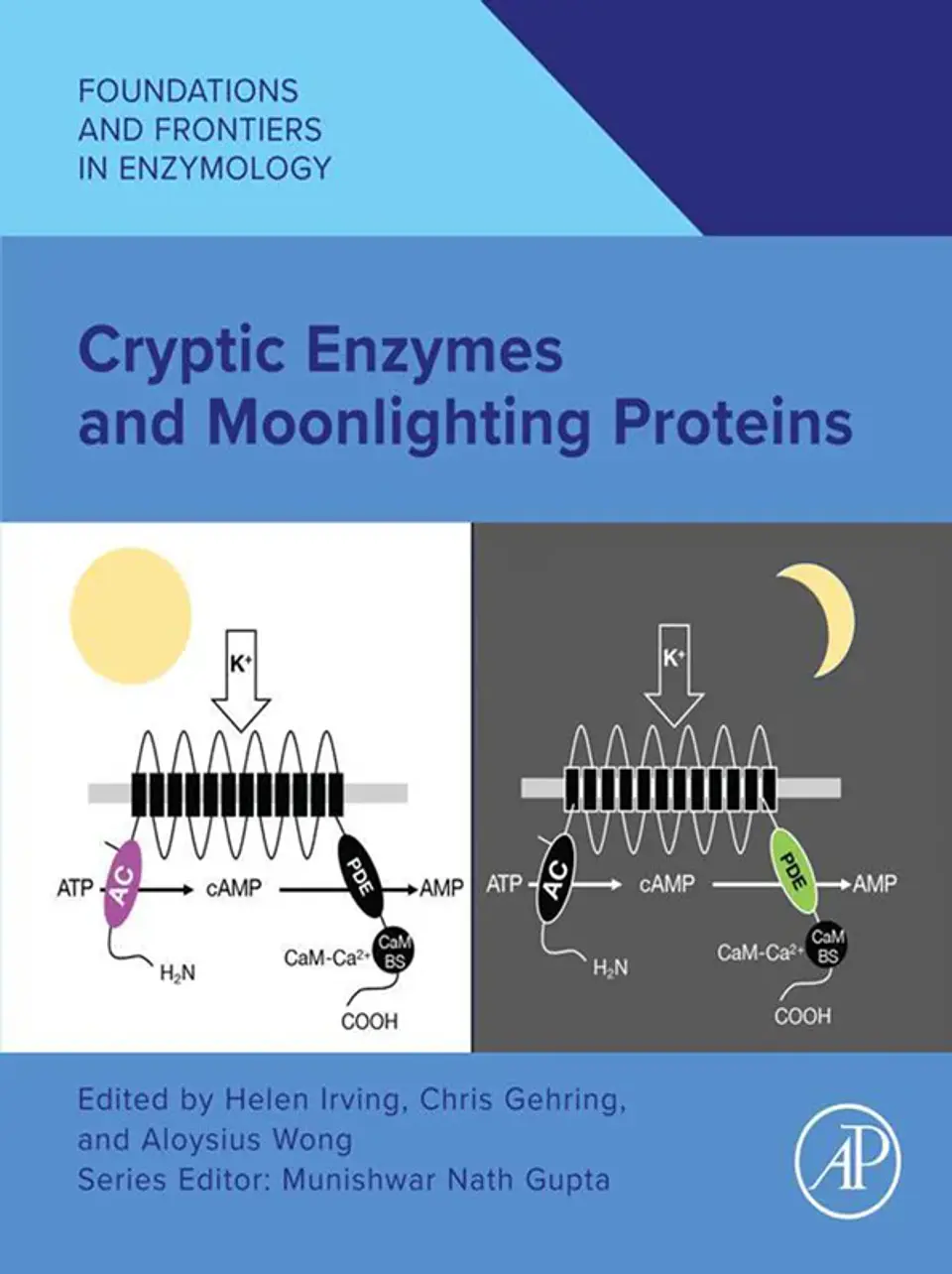 Cryptic Enzymes and Moonlighting Proteins 1