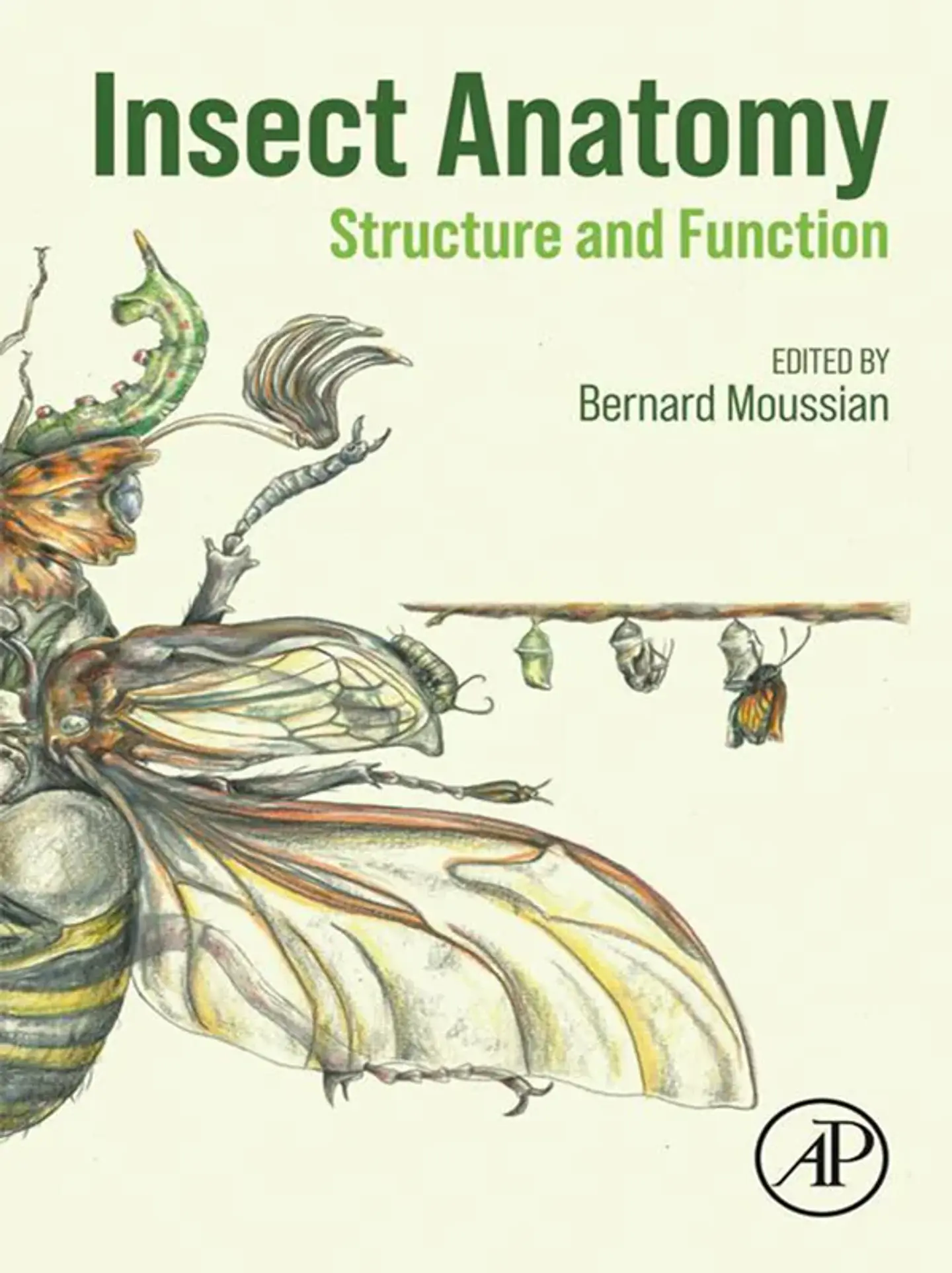 Insect Anatomy: Structure and Function 1