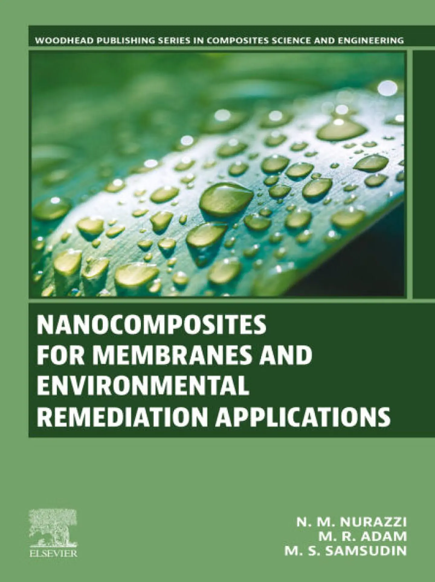 Nanocomposites for Membranes and Environmental Remediation Applications 1