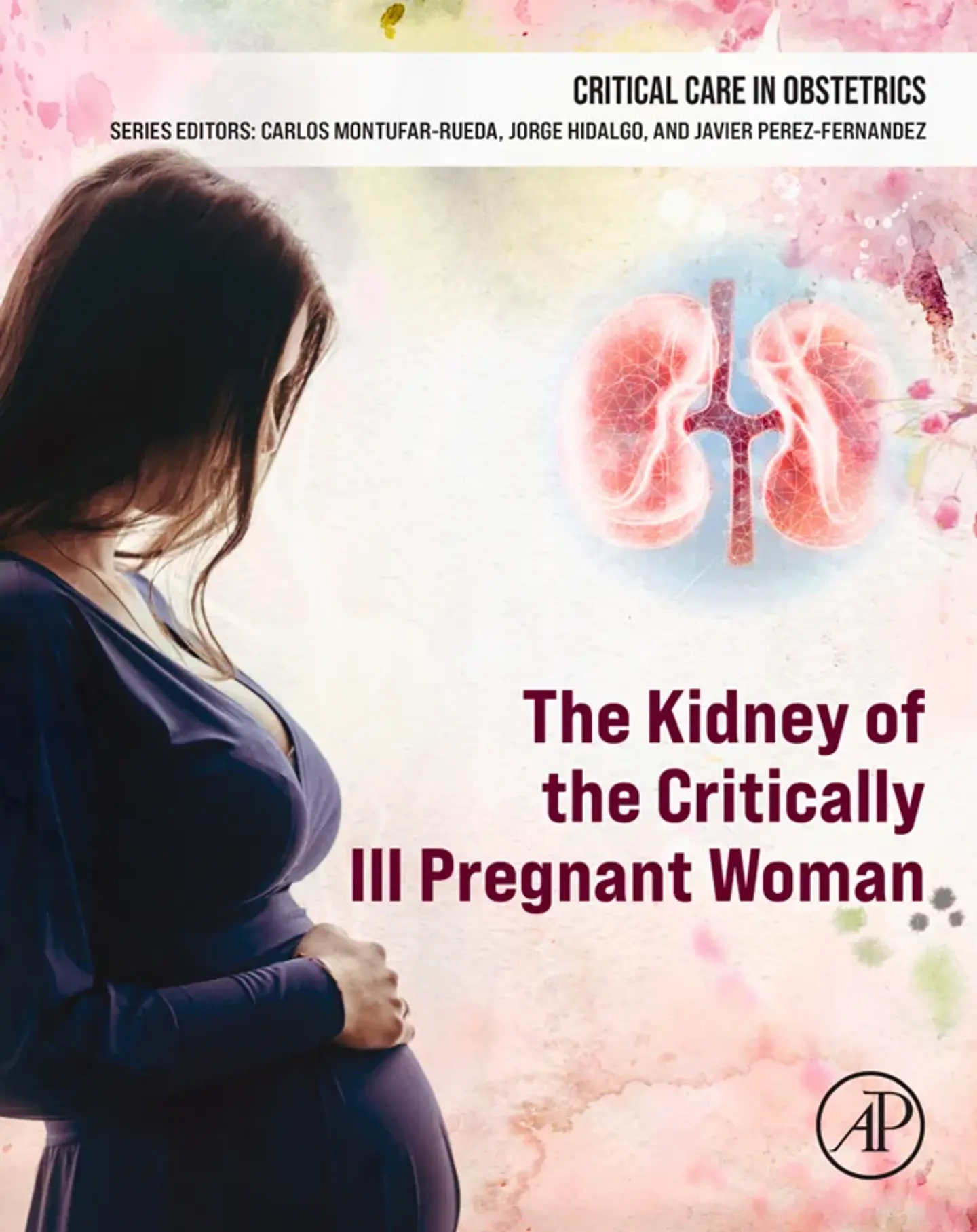 The Kidney of the Critically Ill Pregnant Woman (Critical Care in Obstetrics) 1