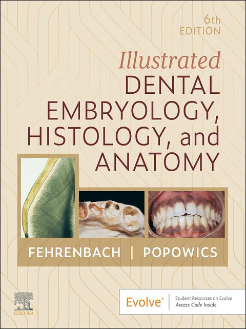  Illustrated Dental Embryology, Histology, and Anatomy 6th Edition 