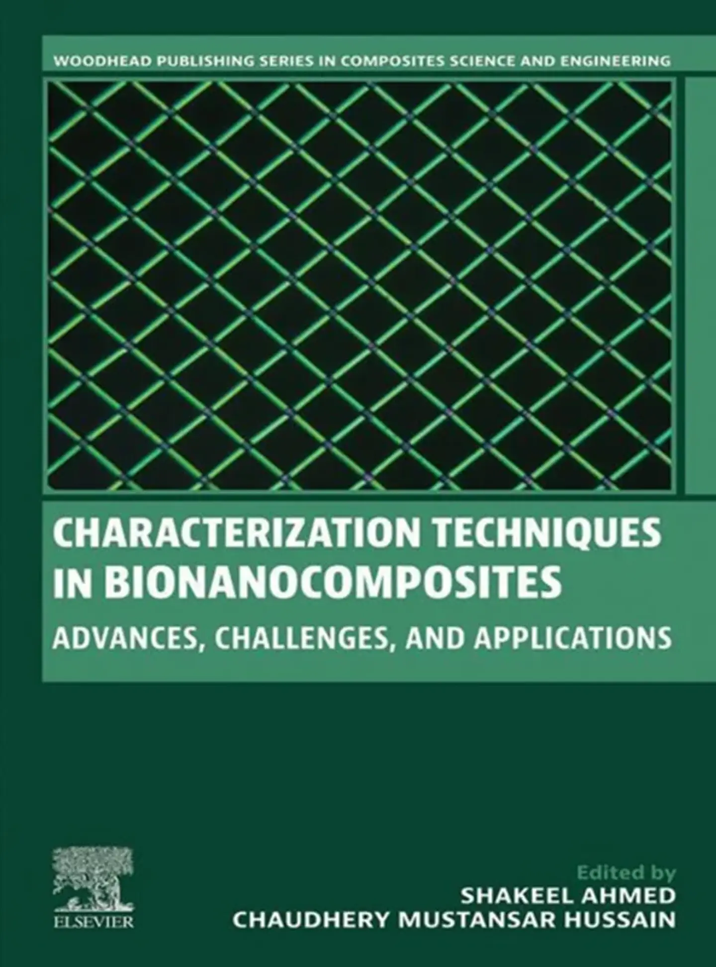 Characterization Techniques in Bionanocomposites: Advances, Challenges, and Applications 1