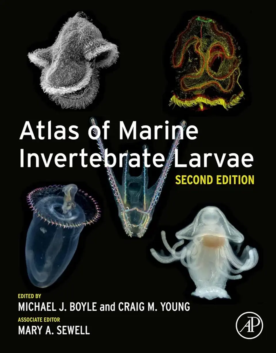 Atlas of Marine Invertebrate Larvae 2nd Edition 1