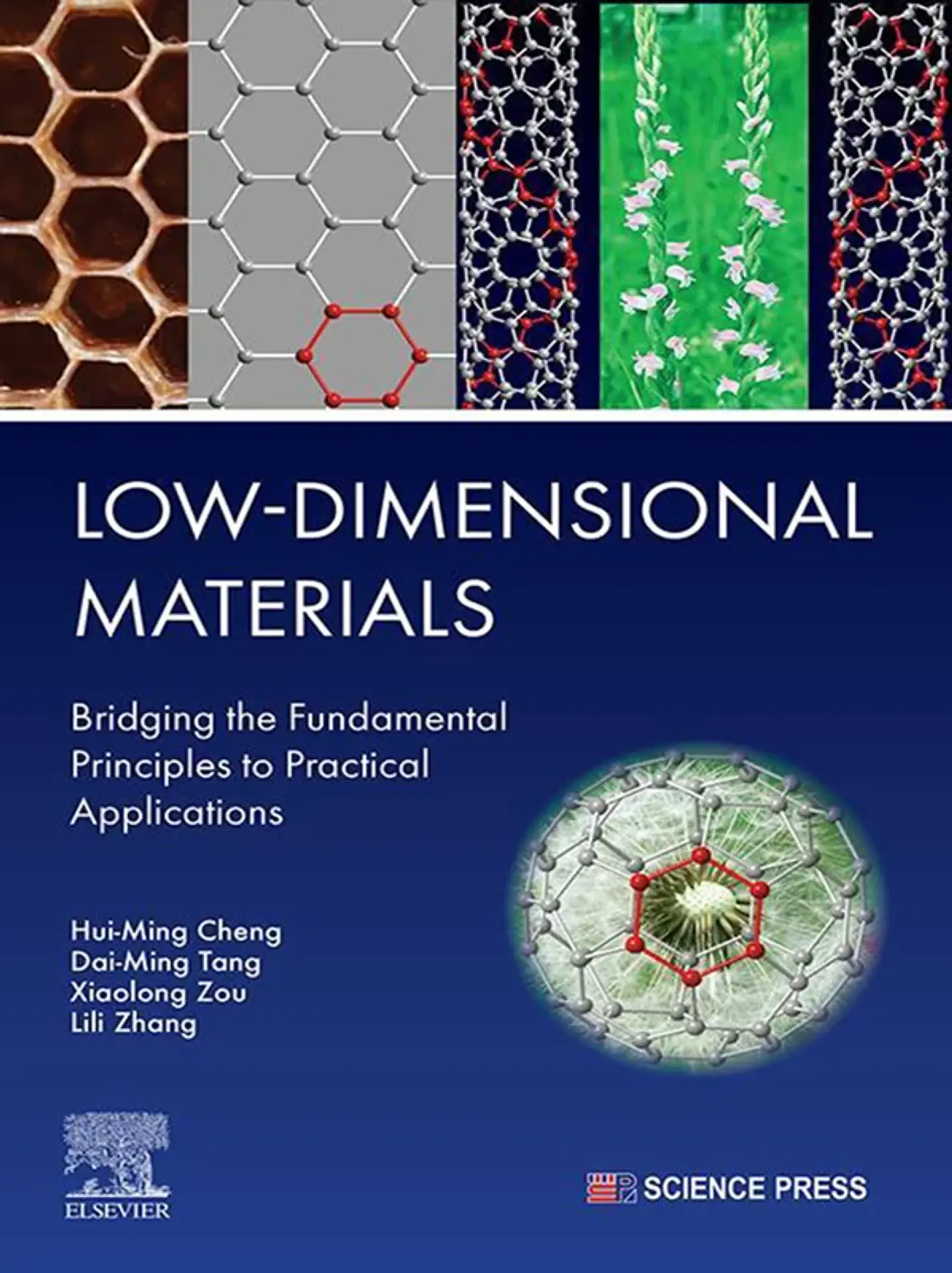 Low-Dimensional Materials: Bridging the Fundamental Principles to Practical Applications 1