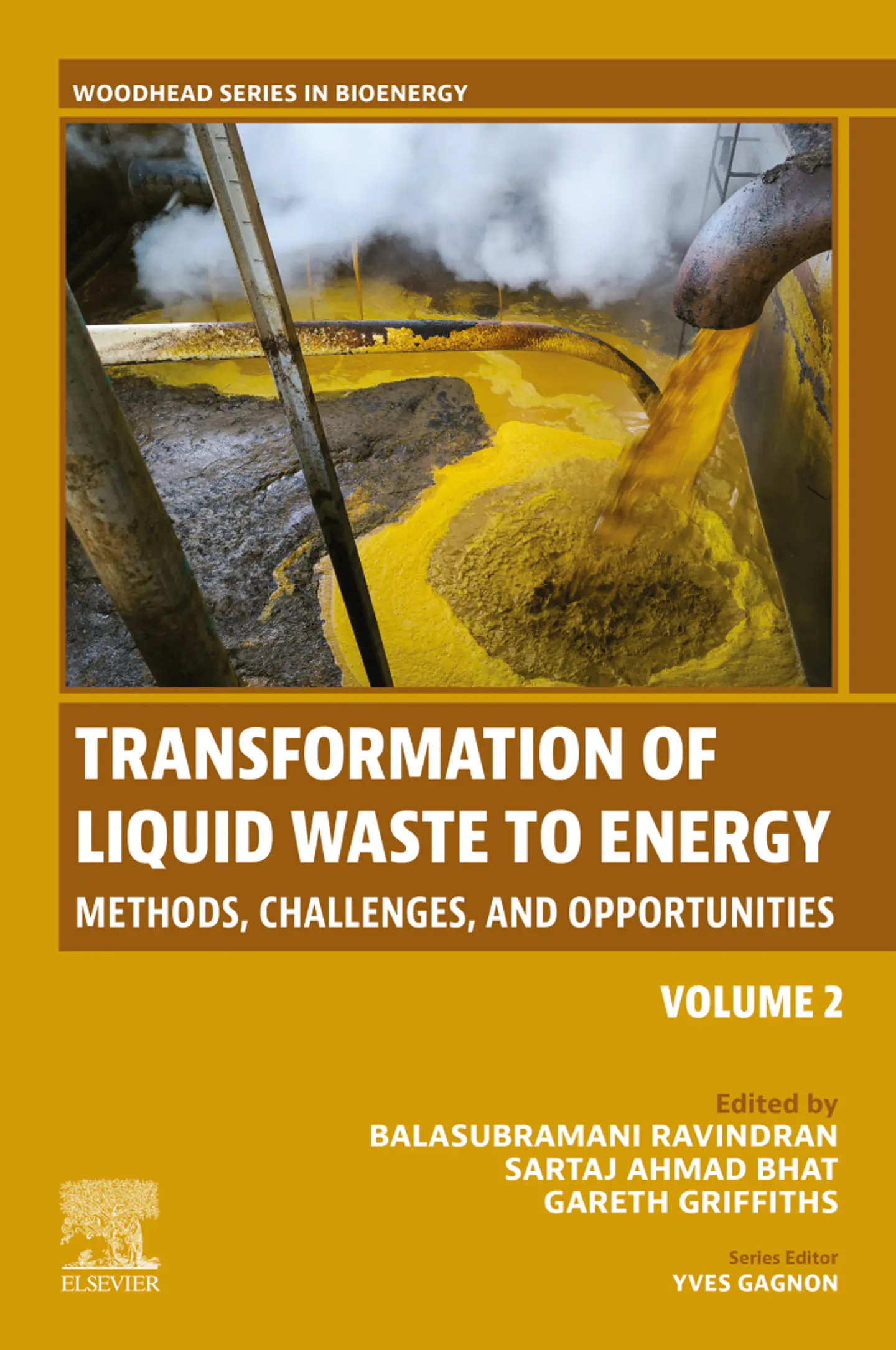 Transformation of Liquid Waste to Energy: Methods, Challenges, and Opportunities 1