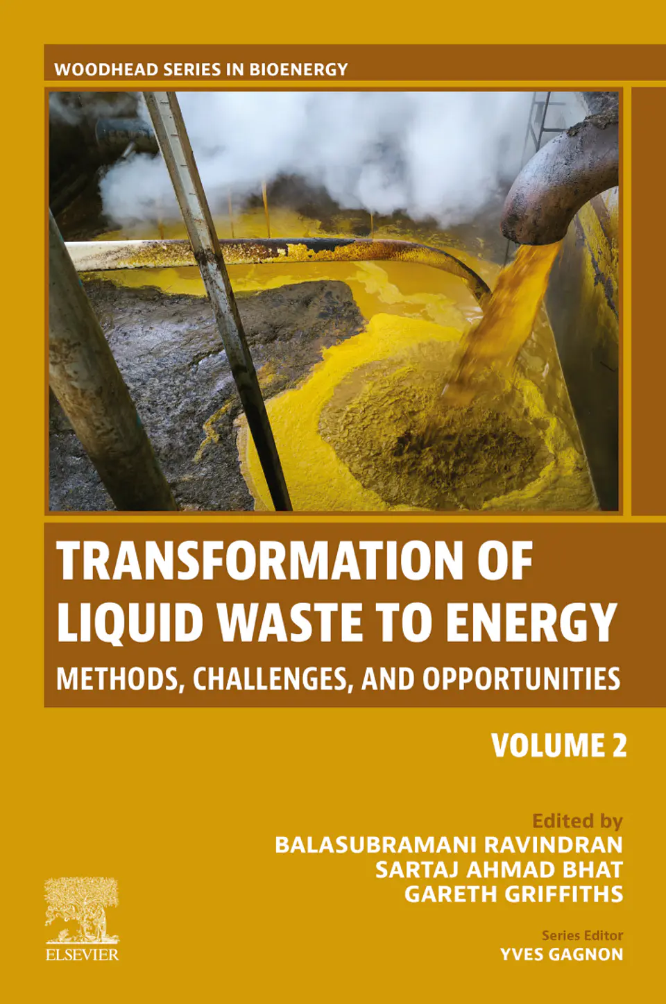 Transformation of Liquid Waste to Energy: Methods, Challenges, and Opportunities 1