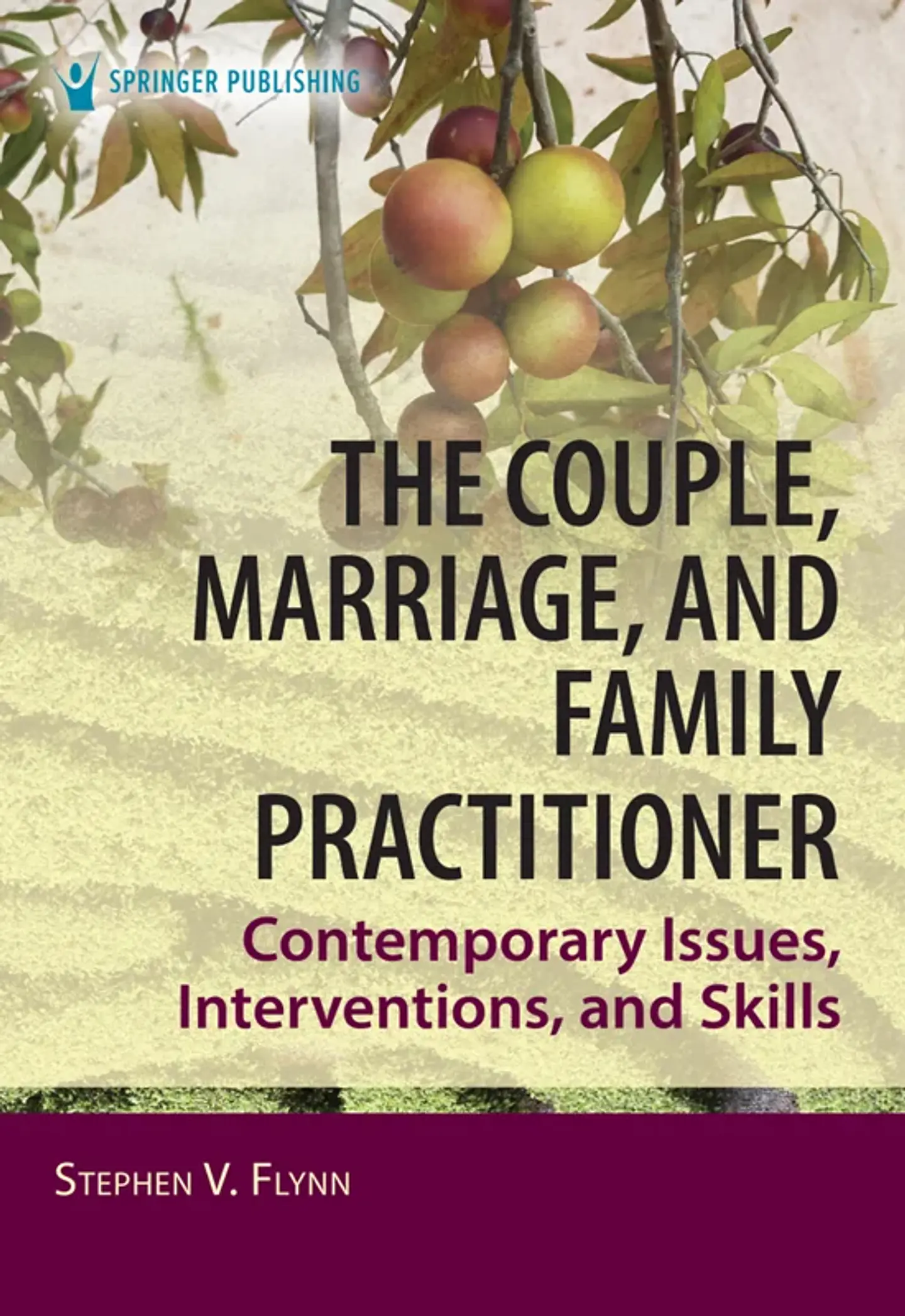 The Couple, Marriage, and Family Practitioner: Contemporary Issues, Interventions, and Skills 1