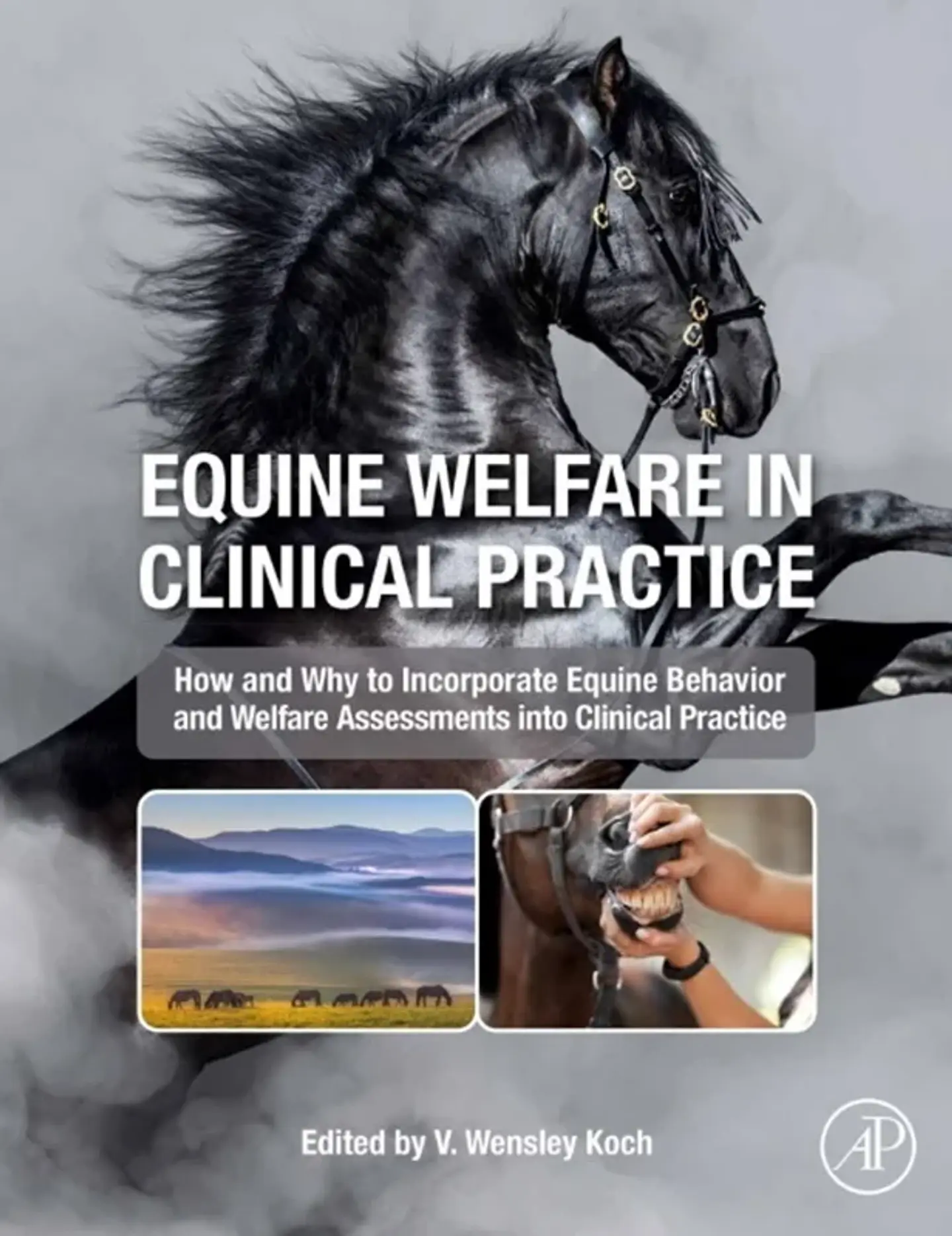 Equine Welfare in Clinical Practice 1