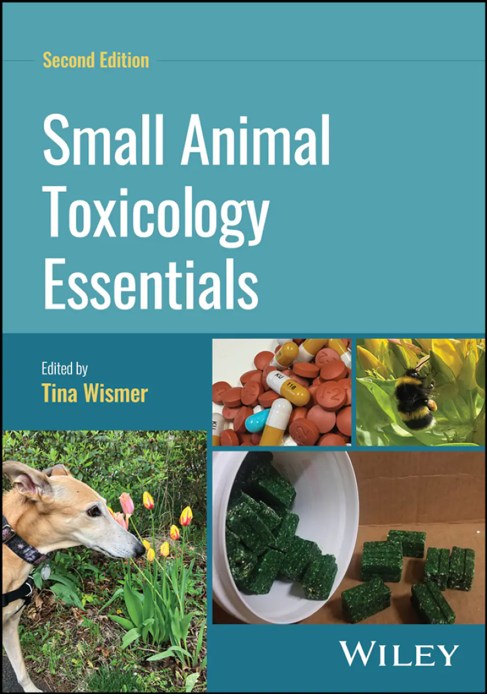 Small Animal Toxicology Essentials 2nd Edition 1