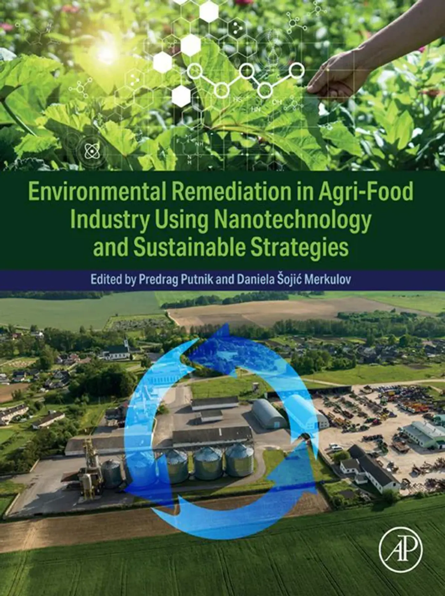 Environmental Remediation in Agri-Food Industry Using Nanotechnology and Sustainable Strategies 1