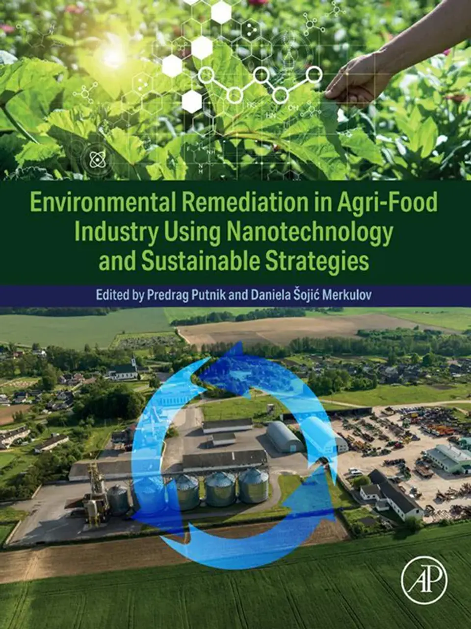 Environmental Remediation in Agri-Food Industry Using Nanotechnology and Sustainable Strategies 1