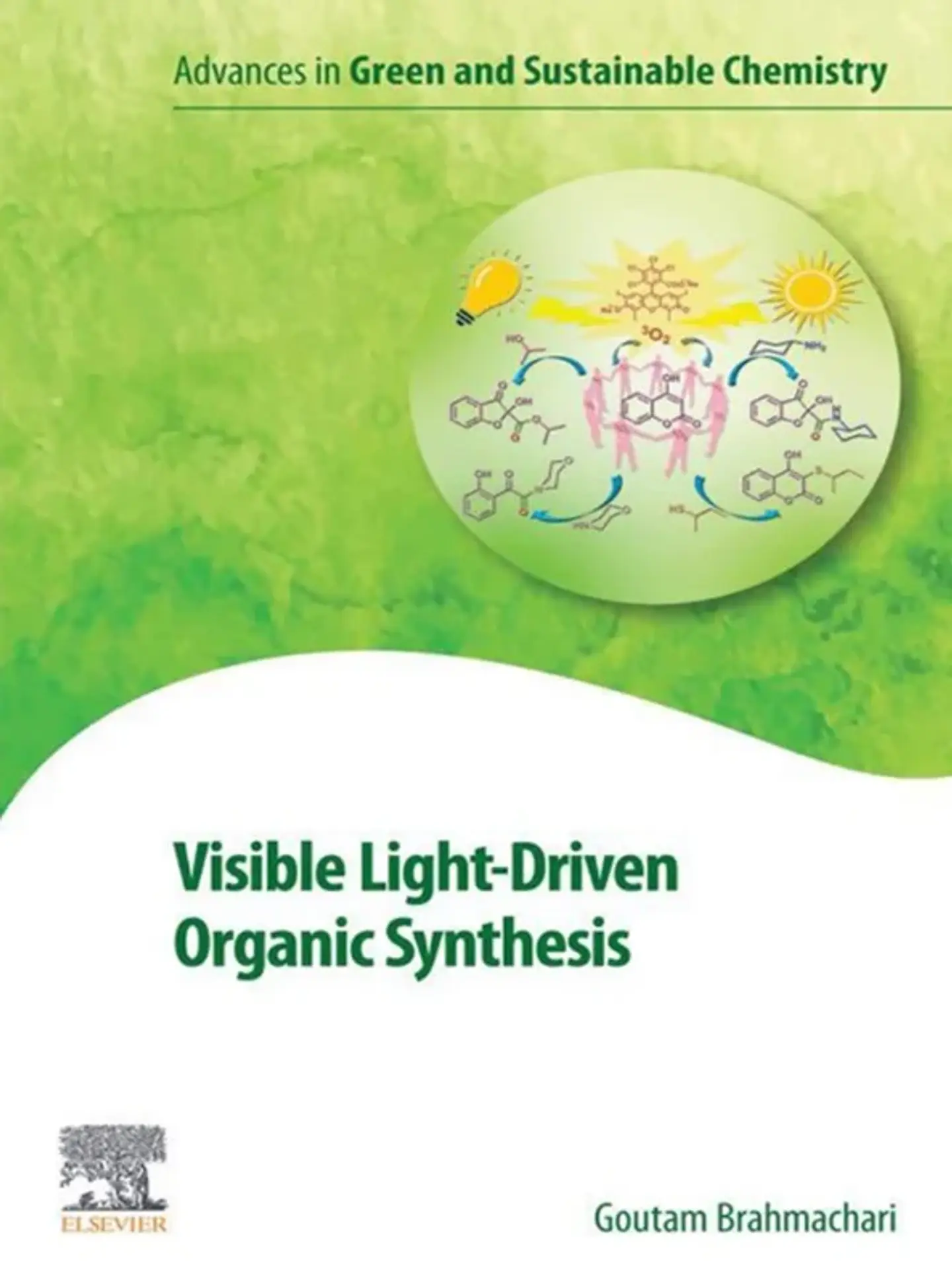 Visible Light-Driven Organic Synthesis (Advances in Green and Sustainable Chemistry) 1