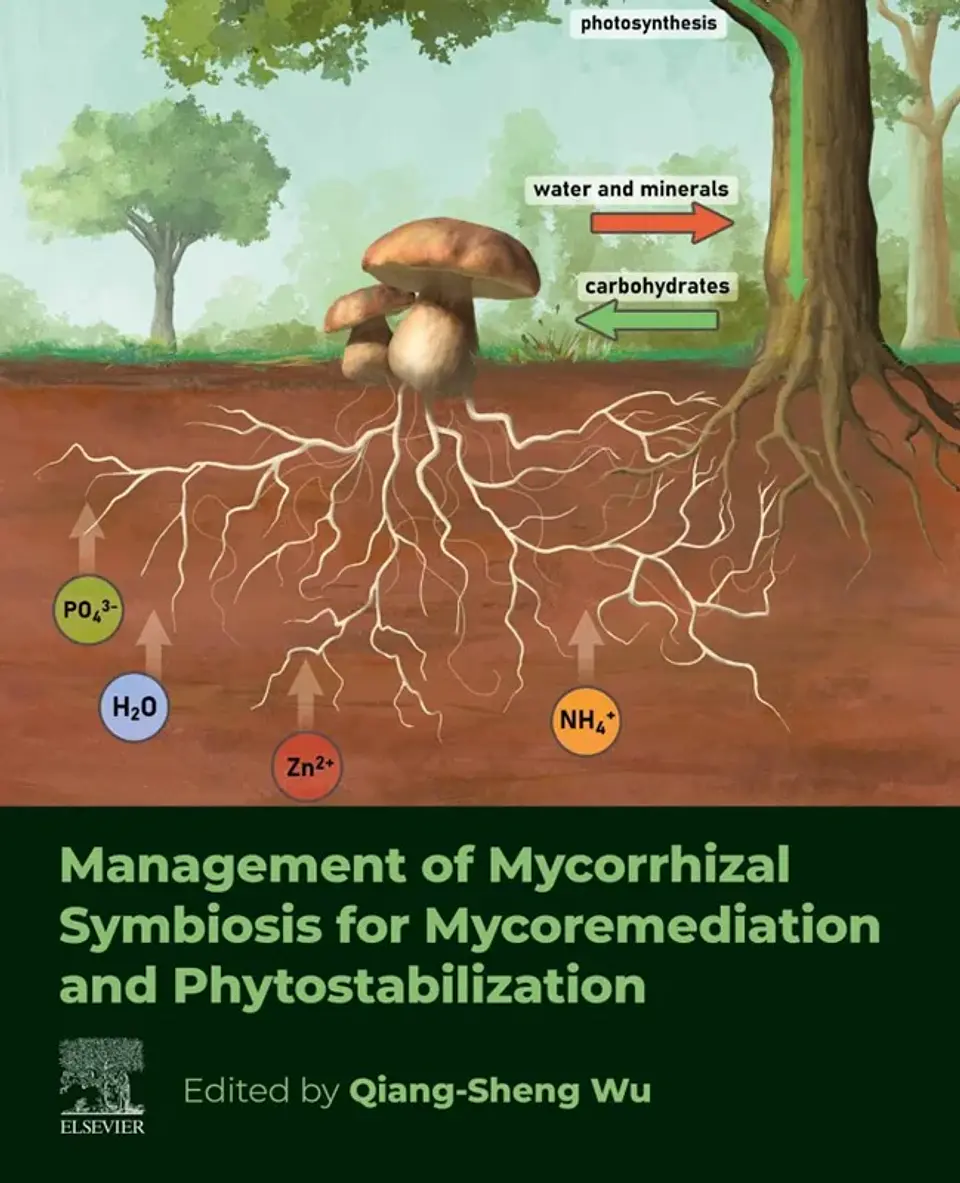 Management of Mycorrhizal Symbiosis for Mycoremediation and Phytostabilization 1